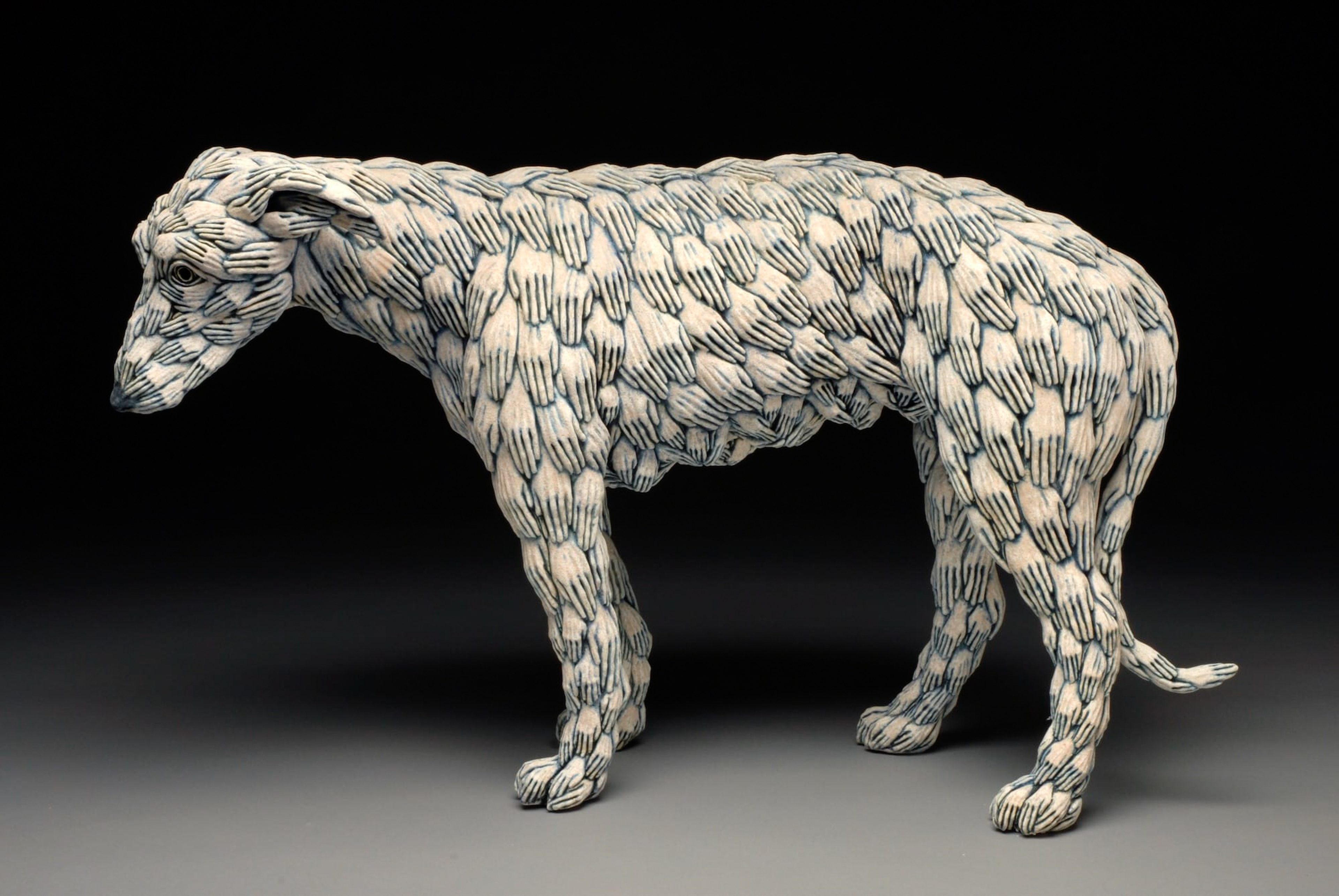 Dog With Hands