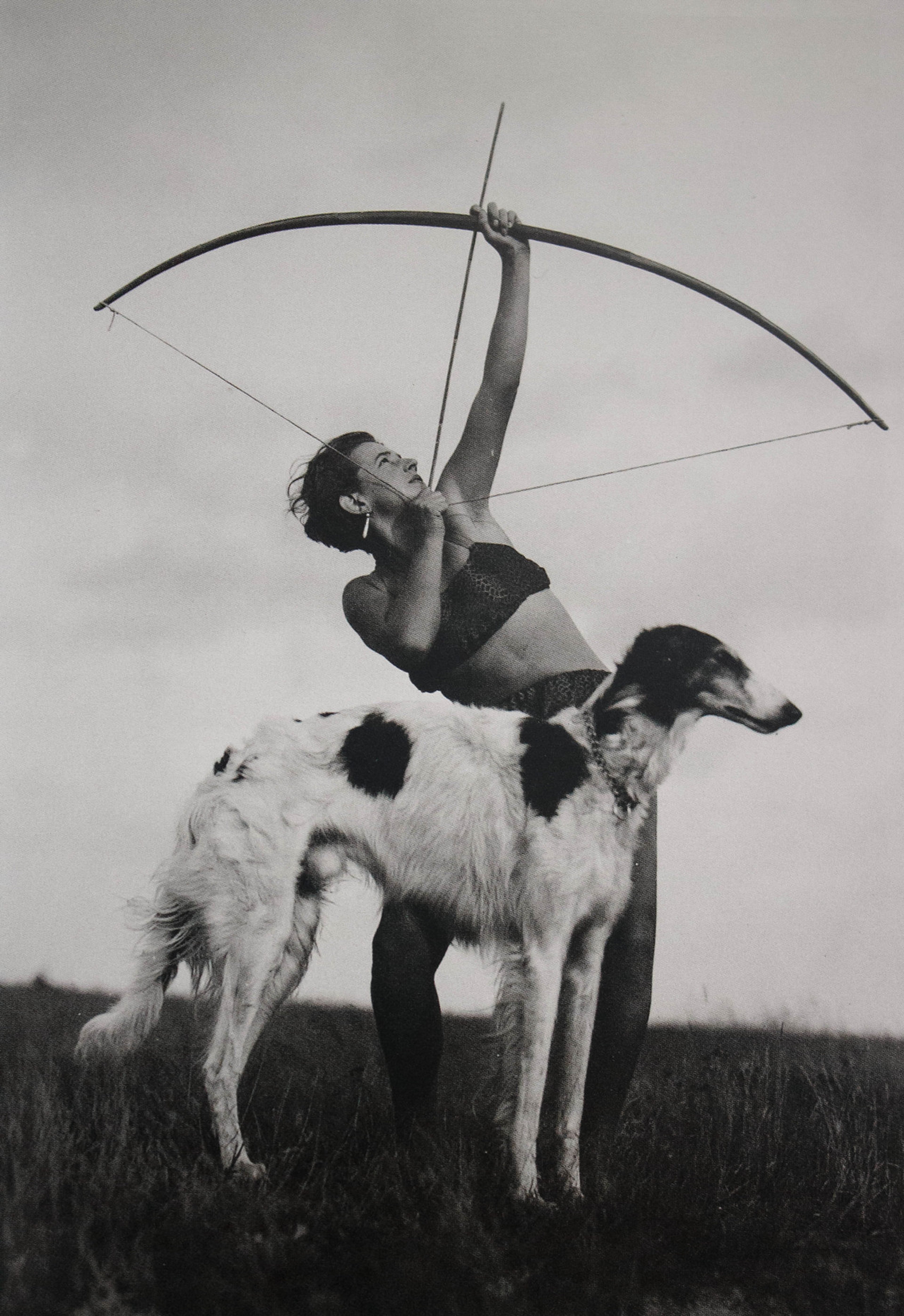 Archier With Borzoi