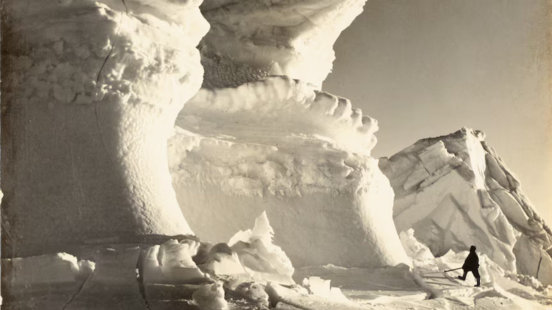 Unknown (Antarctic expedition)