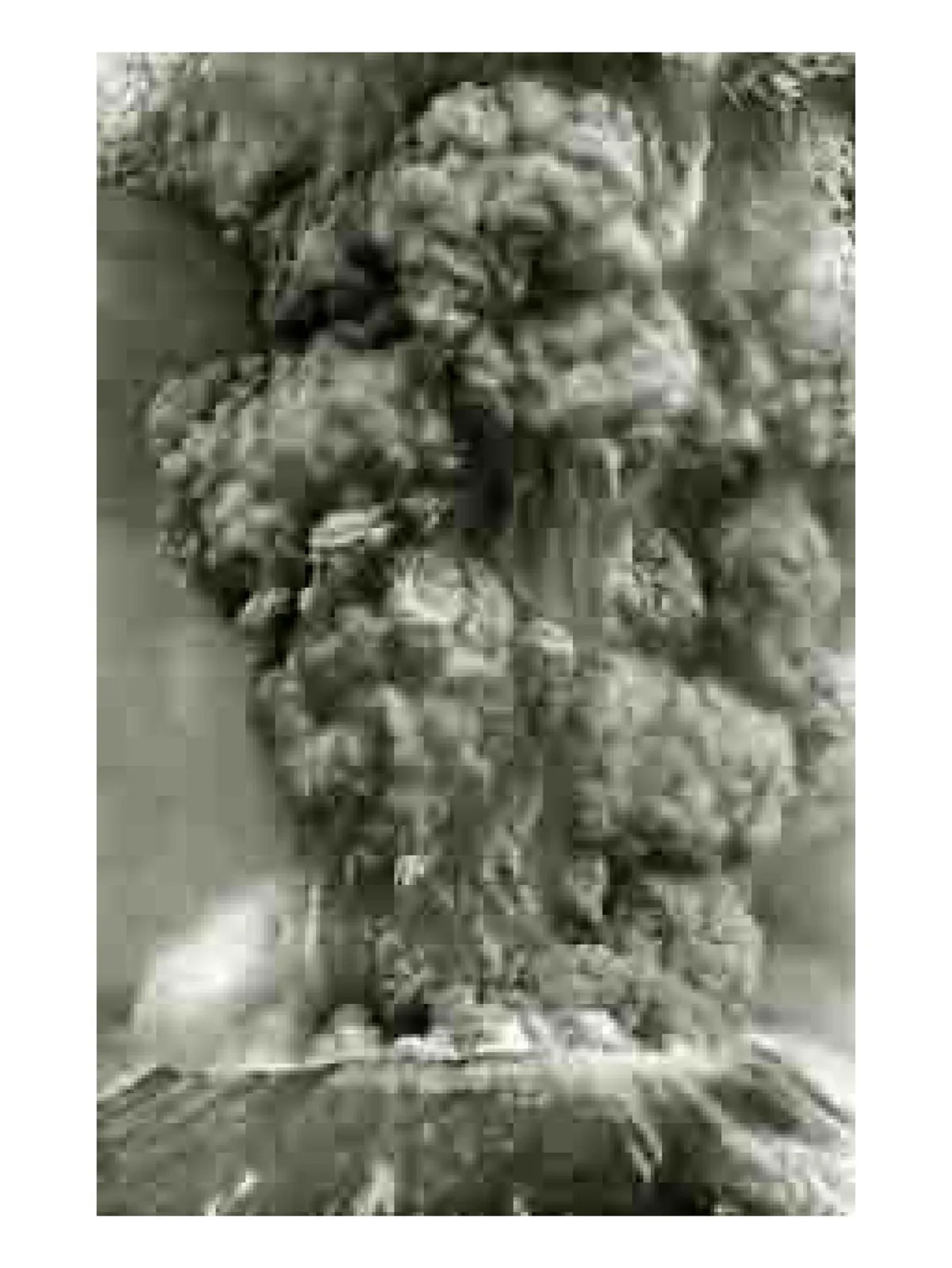 Jpegs 2006 (Volcano)