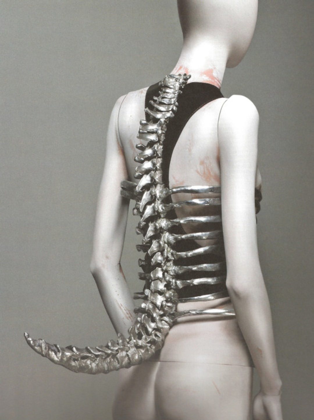 Spine Corset