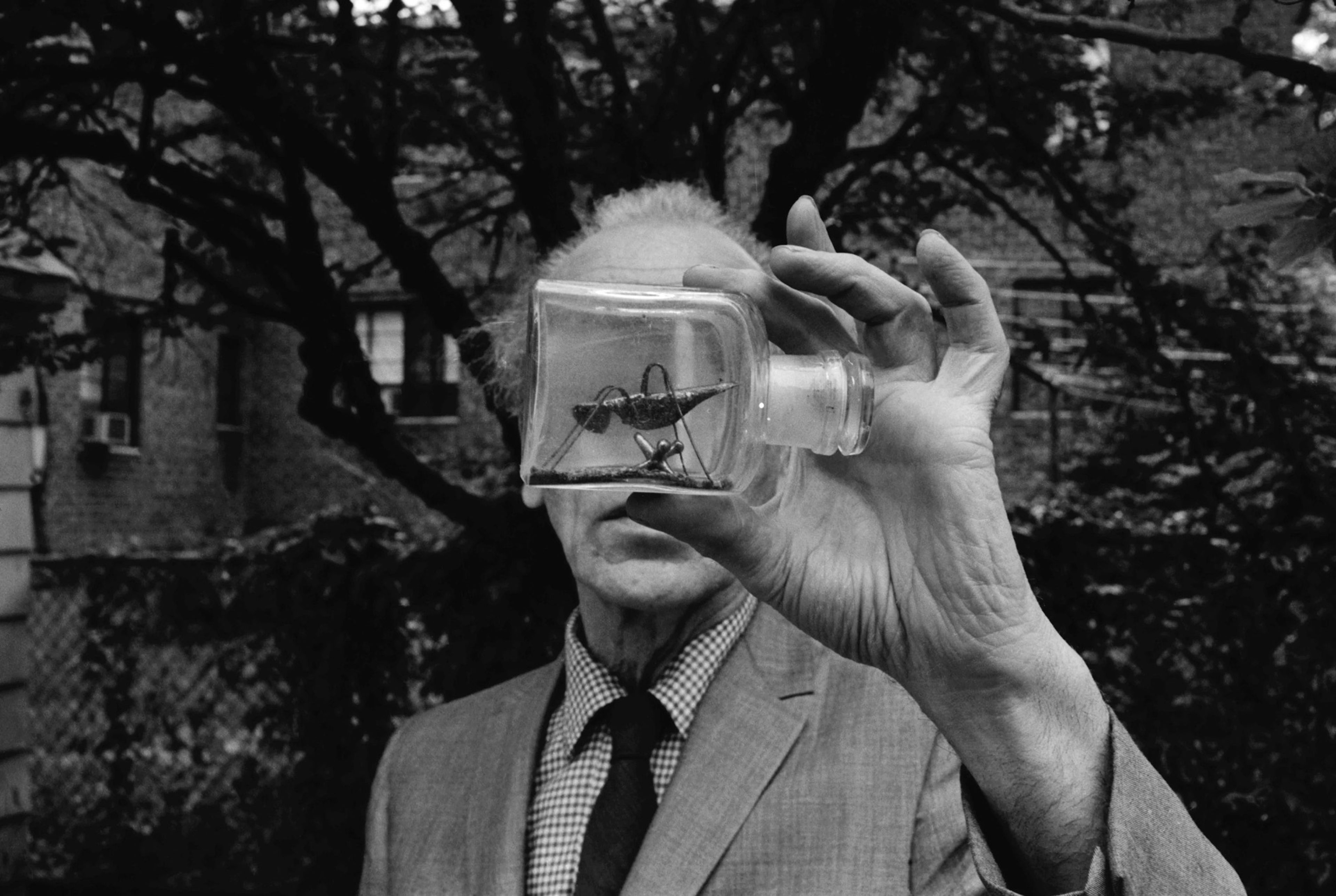Unknown (Joseph Cornell)