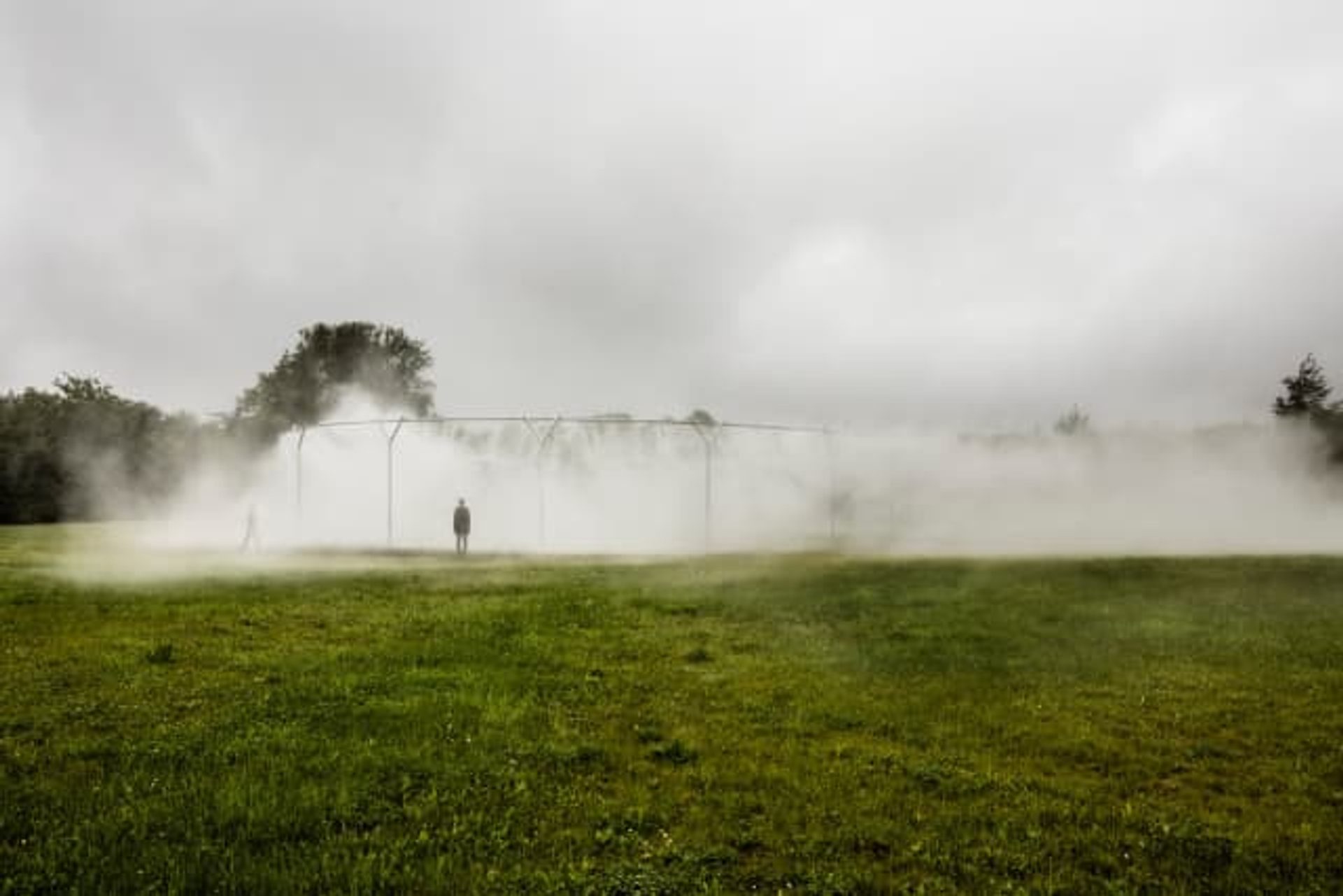 Fog Assembly (001)