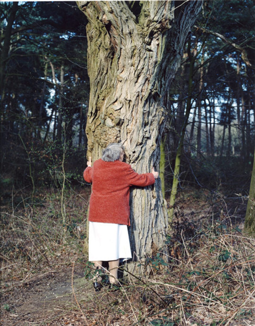 Oma Toos