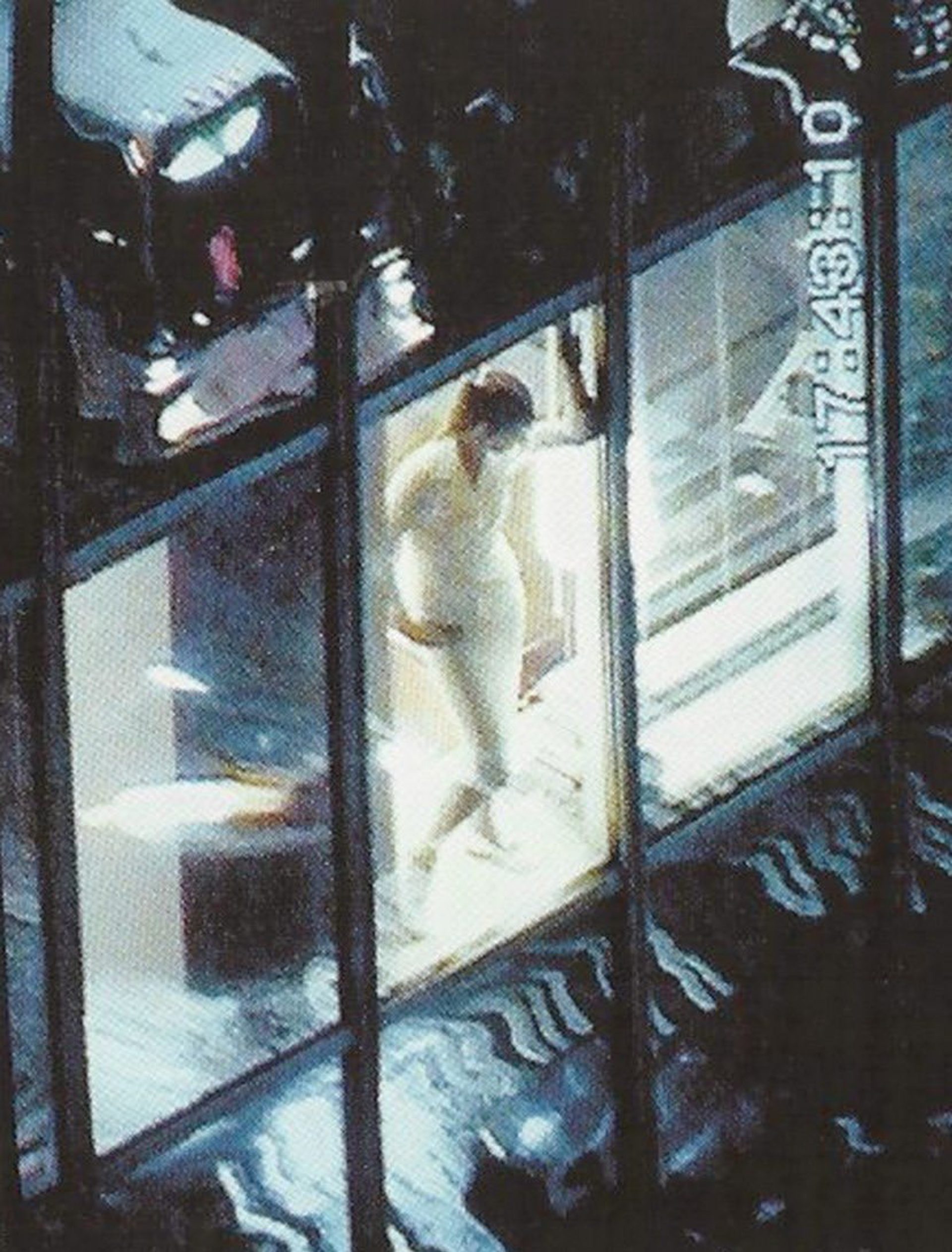 Surveillance (002)