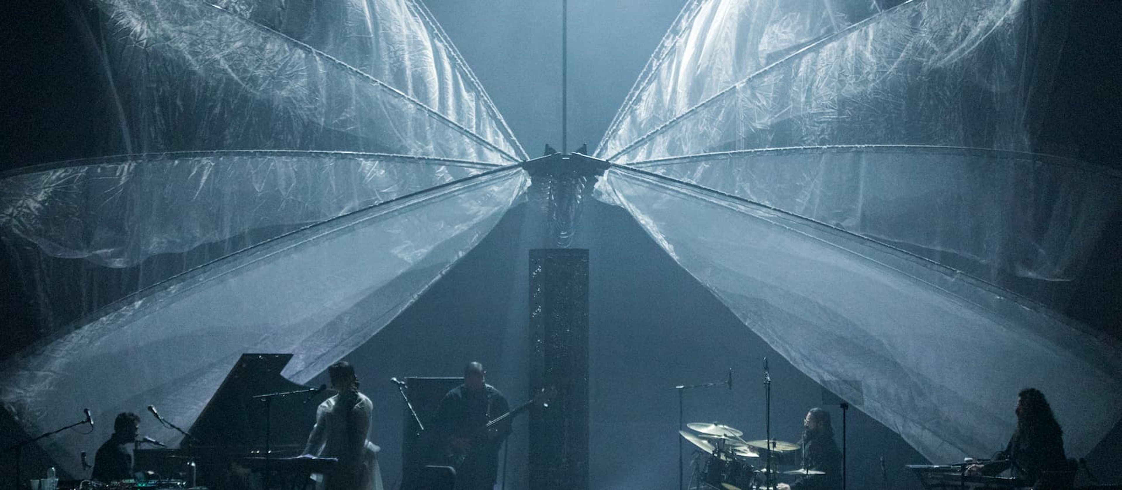 The Bird of A Thousand Voices