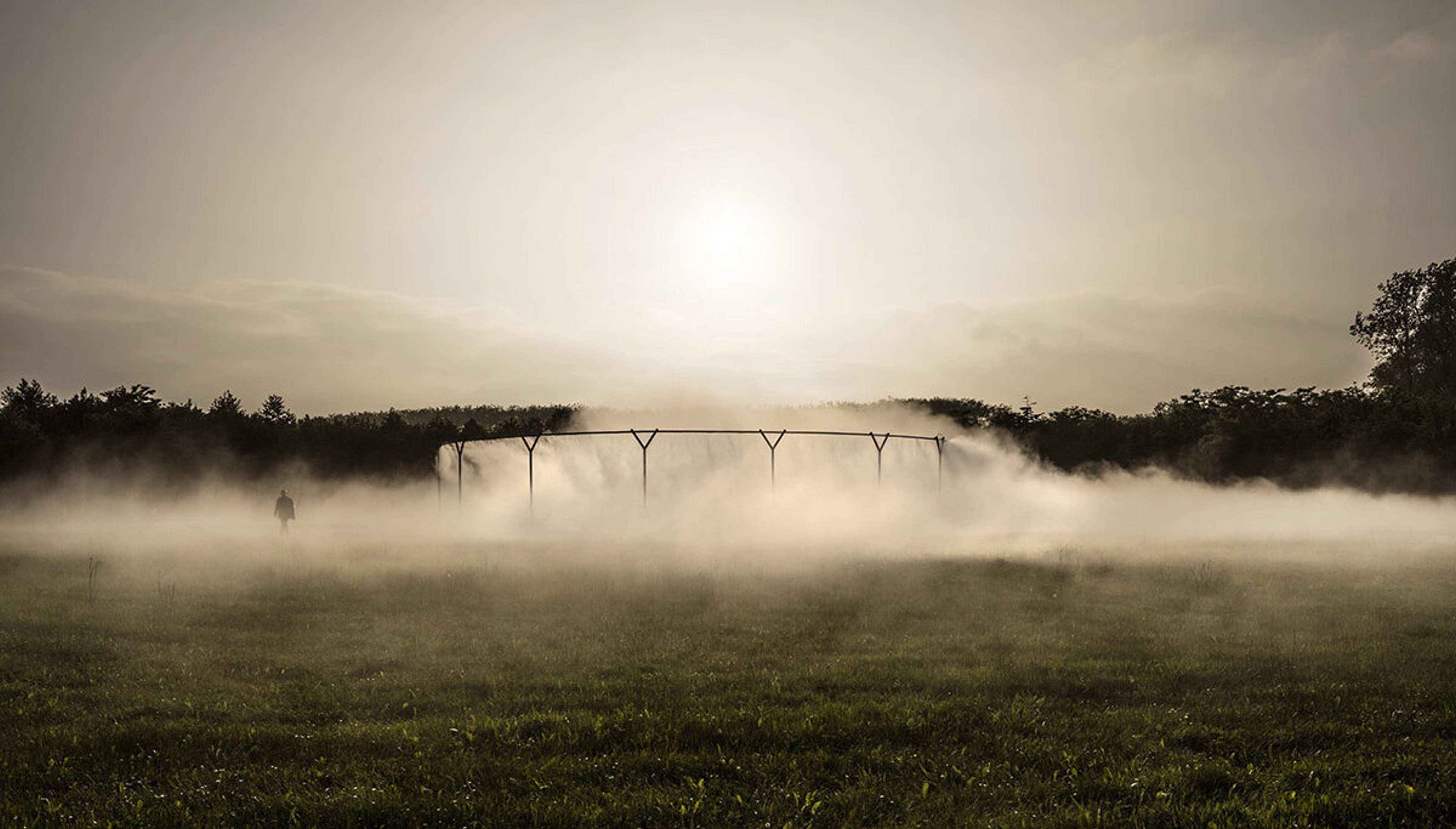 Fog Assembly (002)