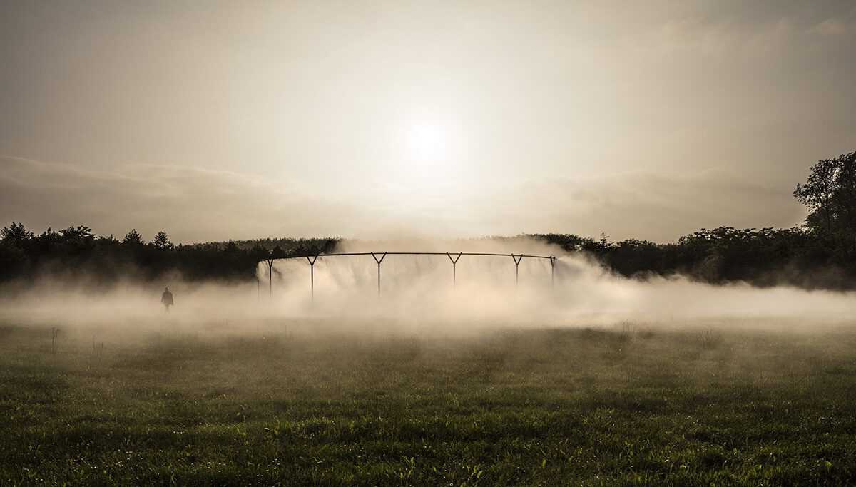 Fog Assembly (002)