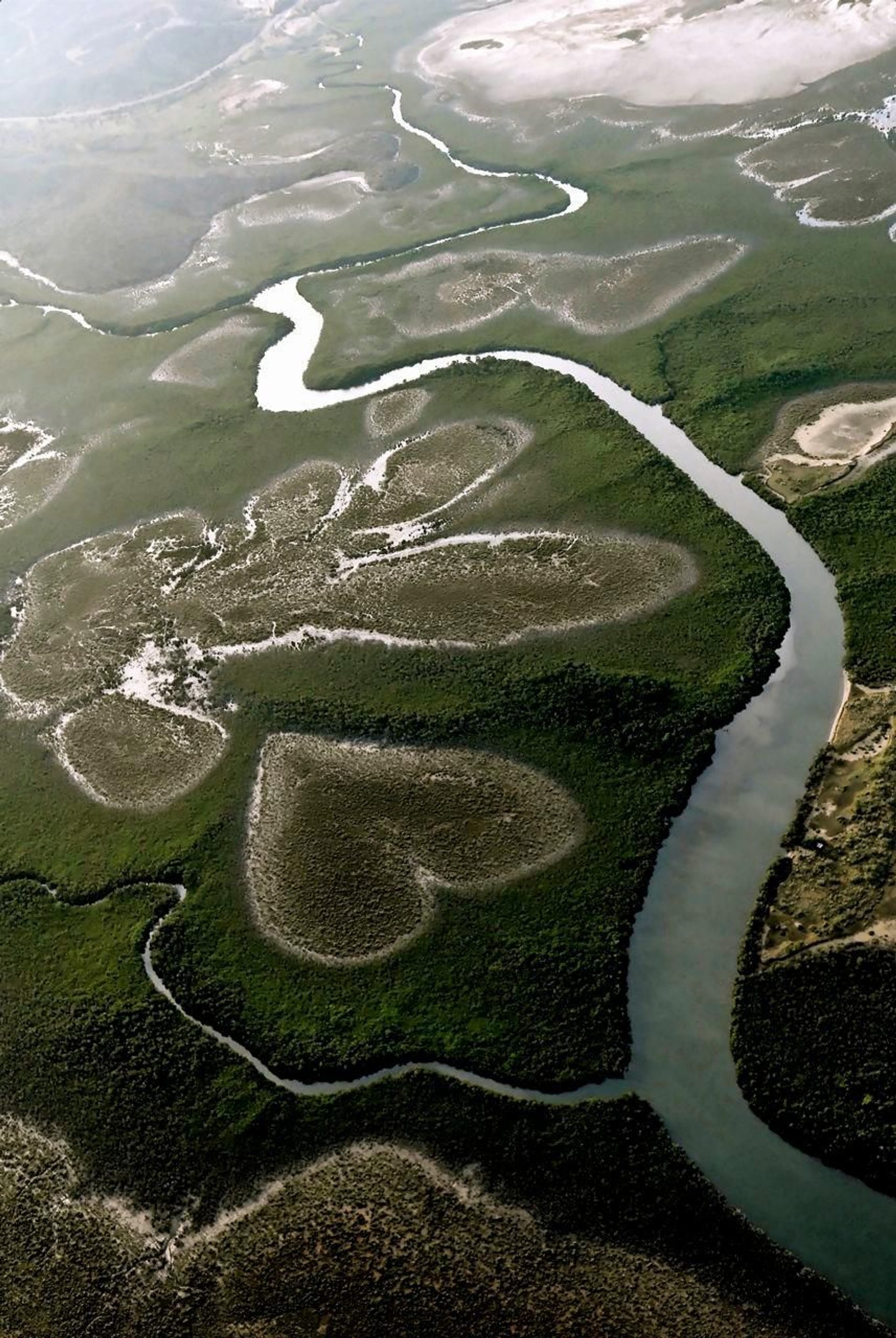 Heart Shaped Swamp Of Lifou Island, New Caledonia