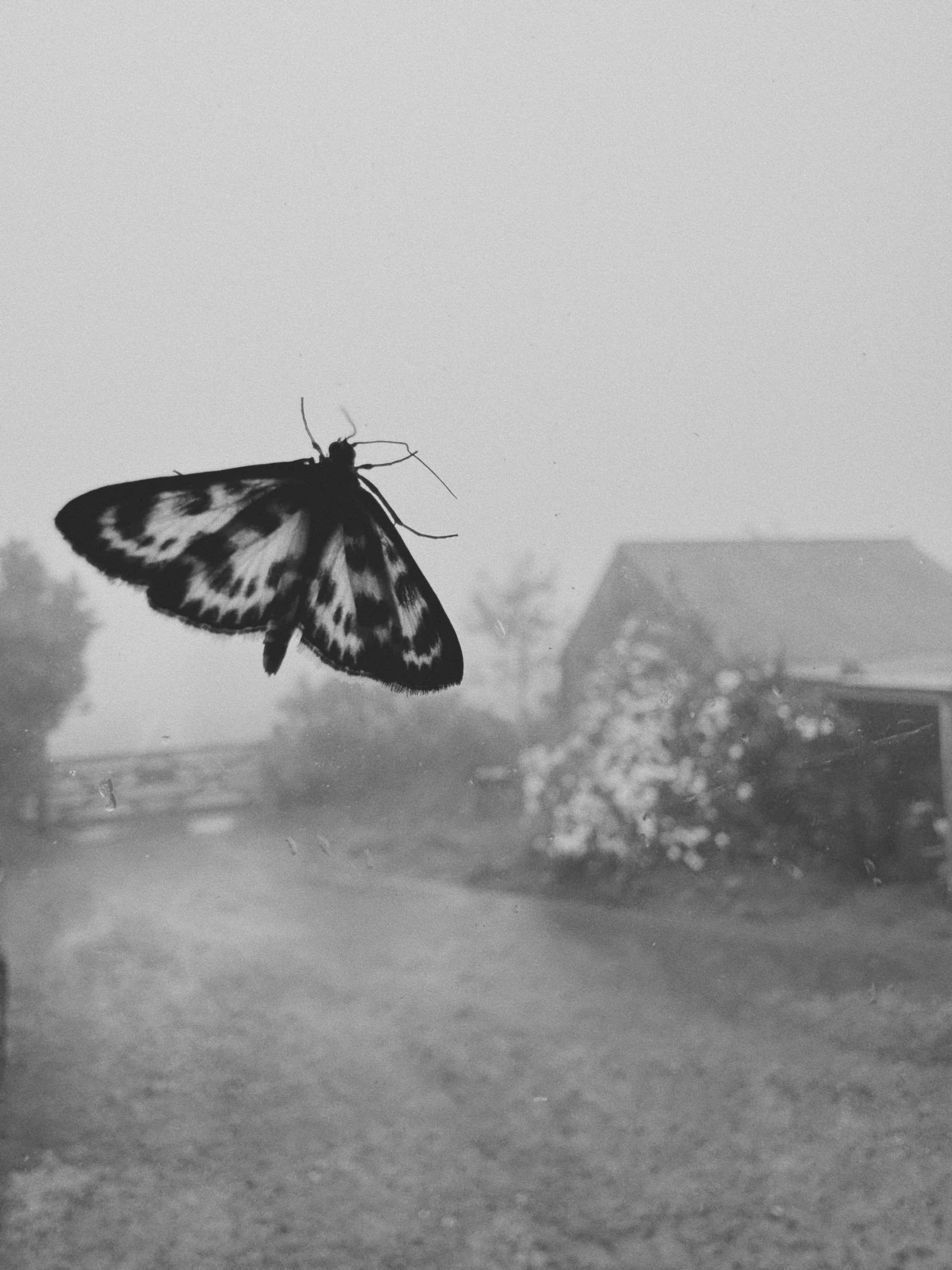 If Not Now, When (002)