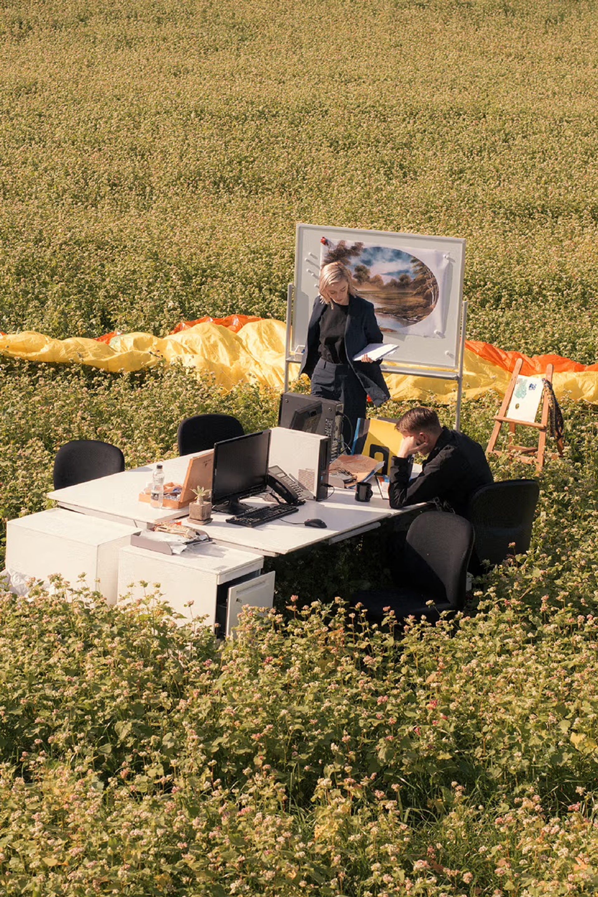 Mountain Office