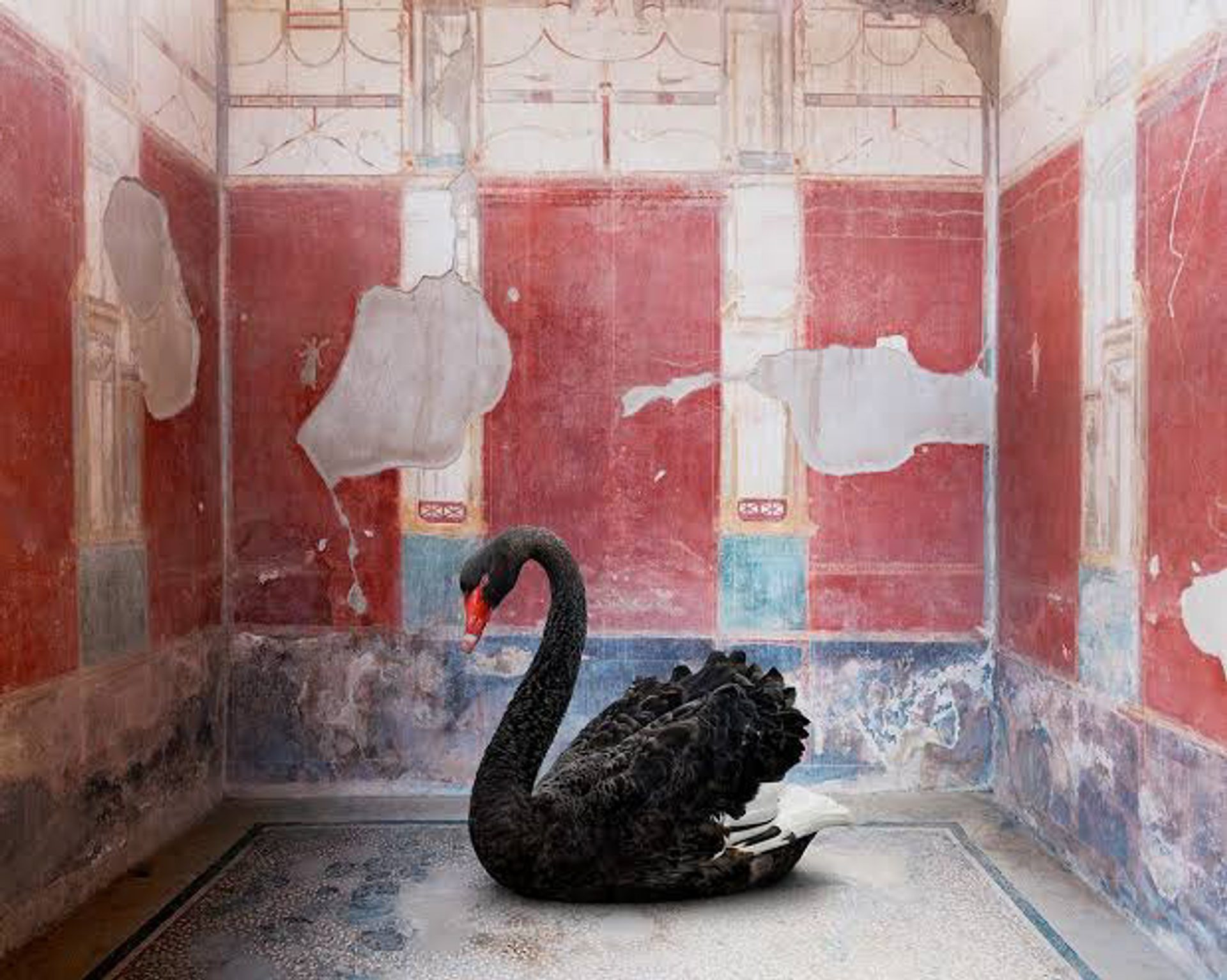 Leda's Seduction, House of the Red Walls, Pompeii