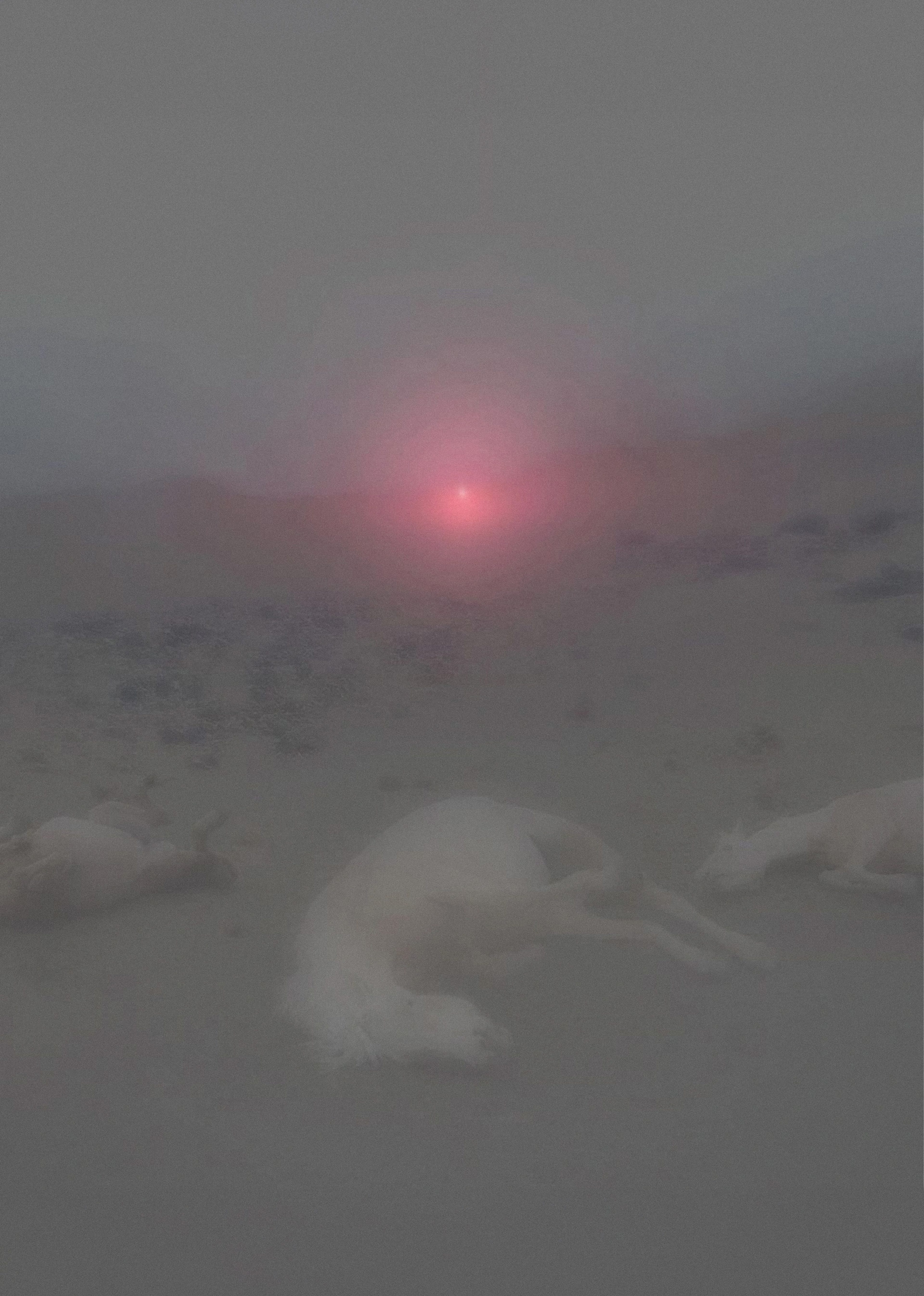 Inner Nature (Excerpt)