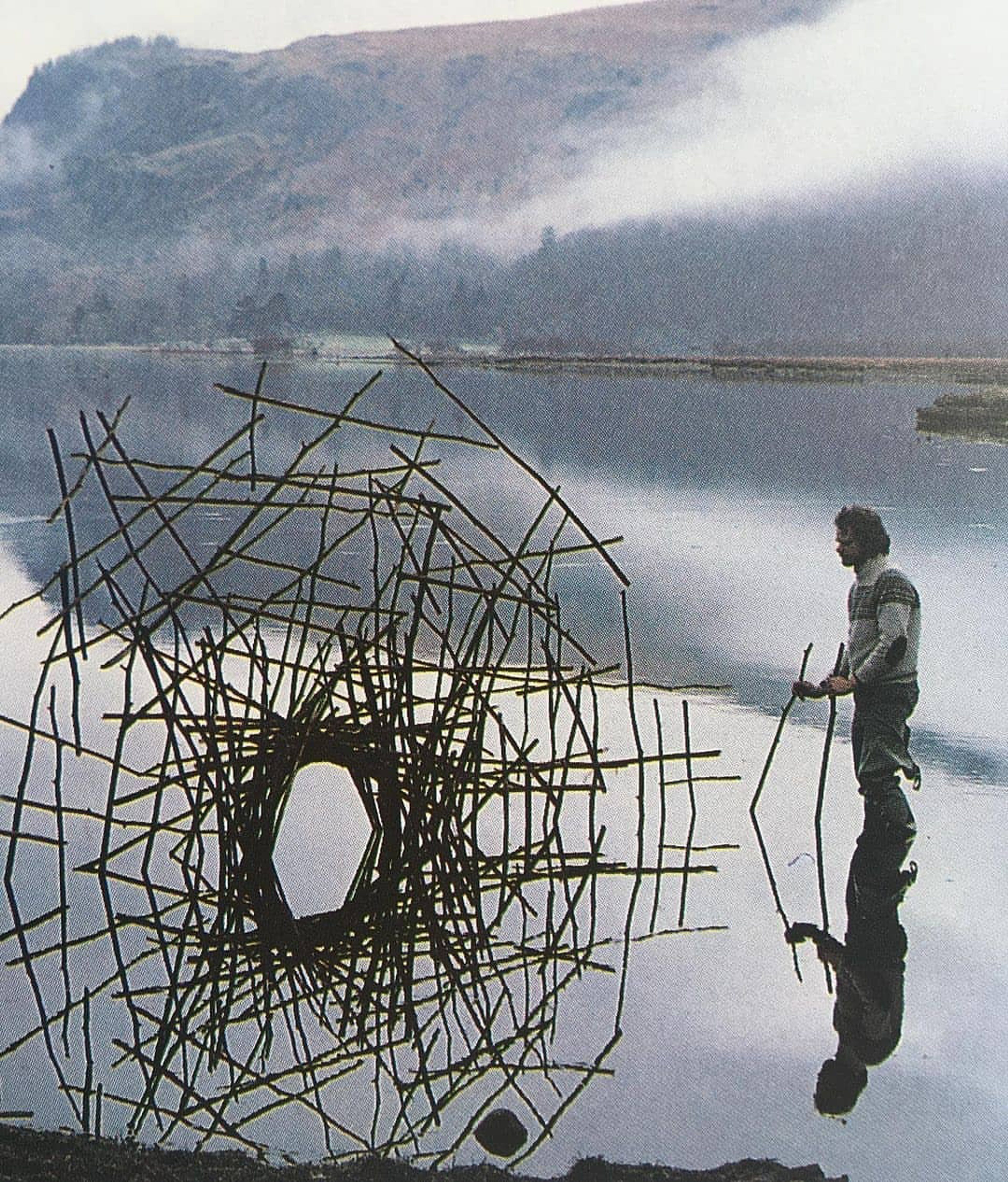 Sticks framing a lake