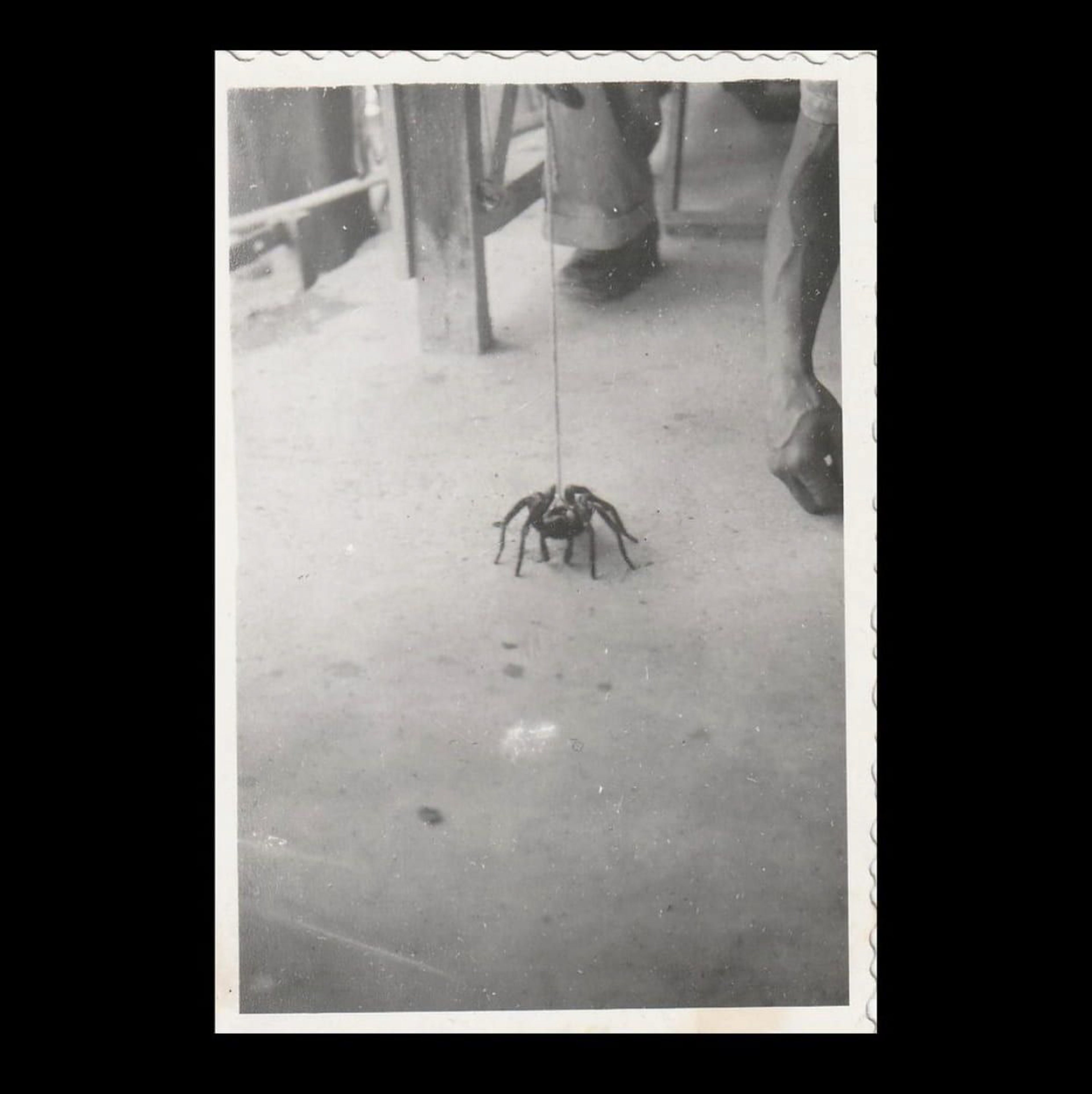 Found Fotografs (001)