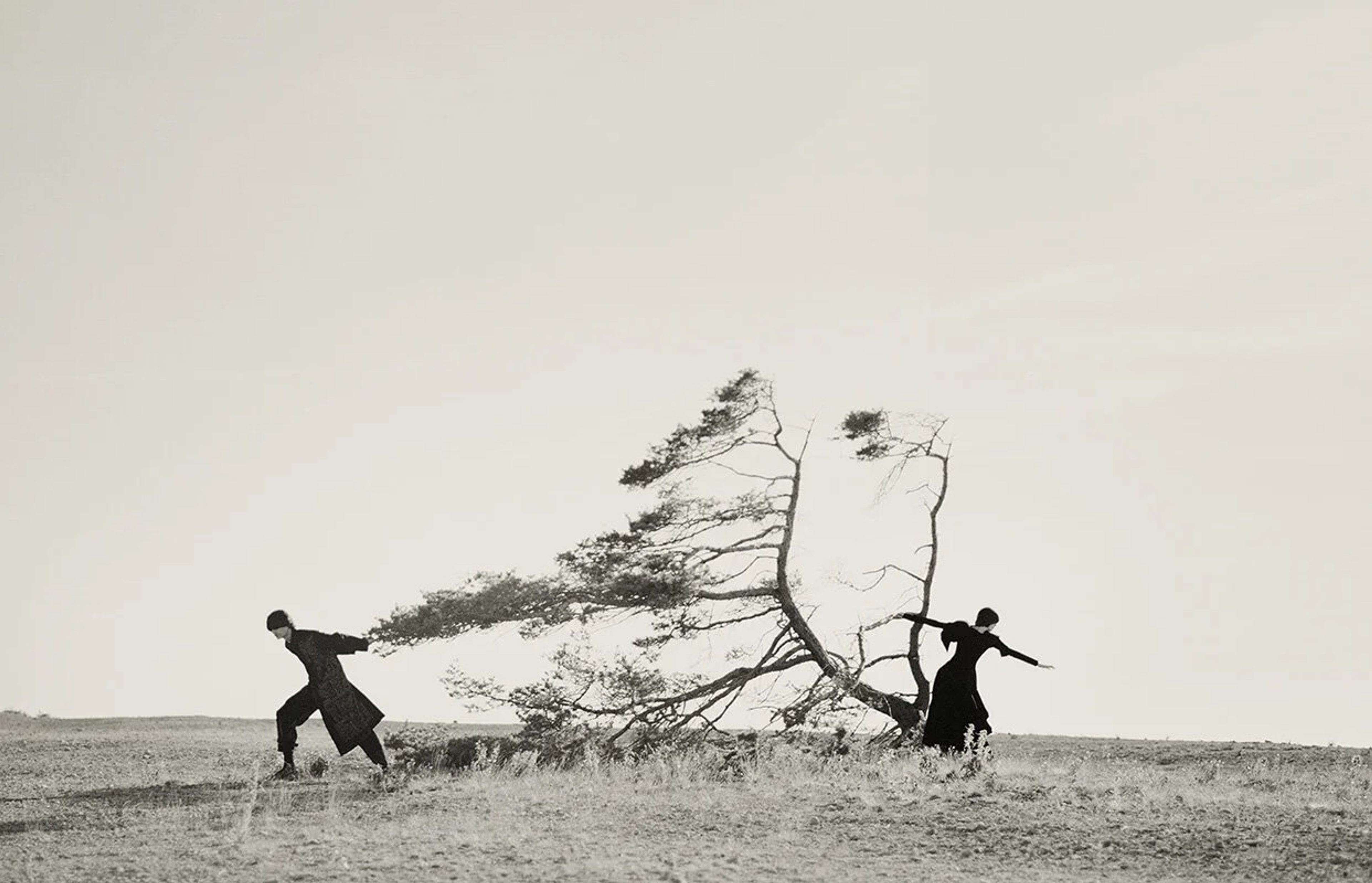 In ‘A Japanese Dream'