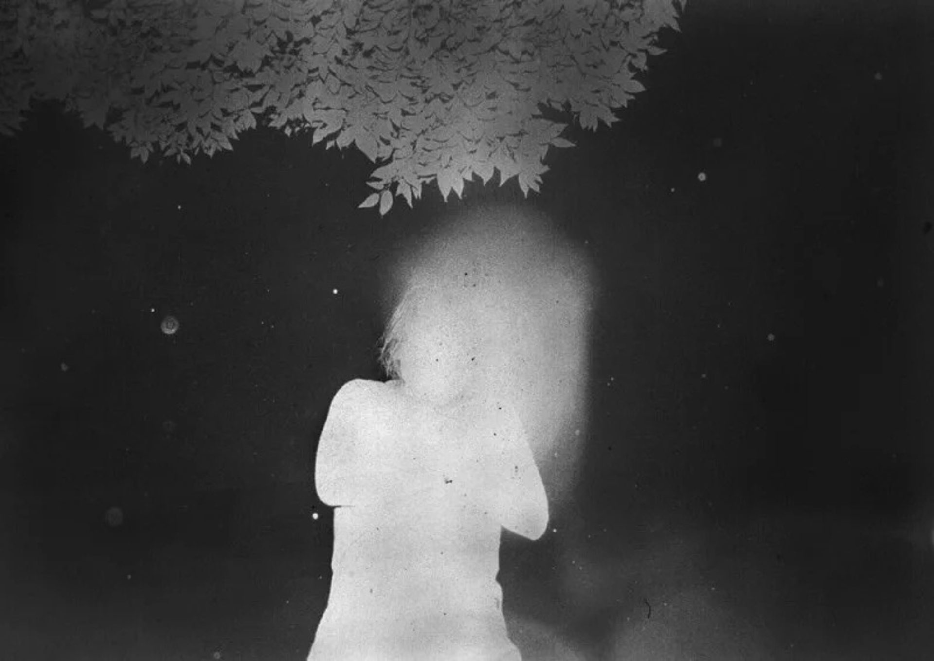 Untitled (Backyard)
