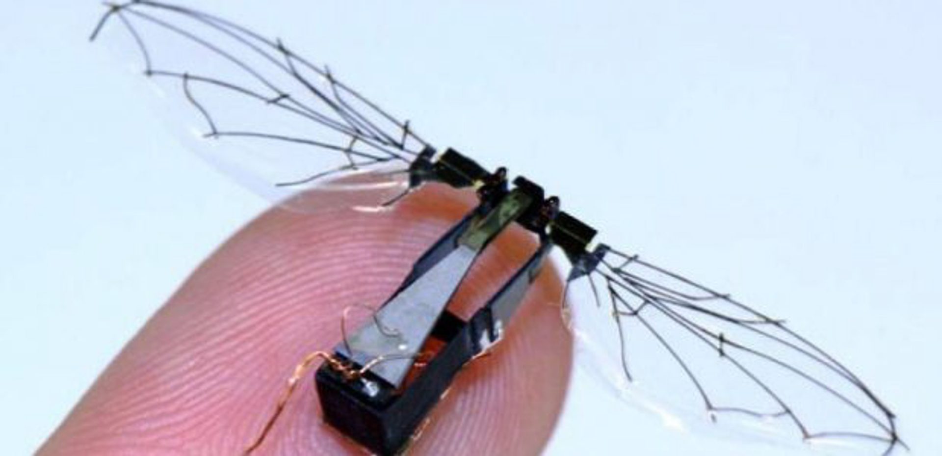 RoboBees
