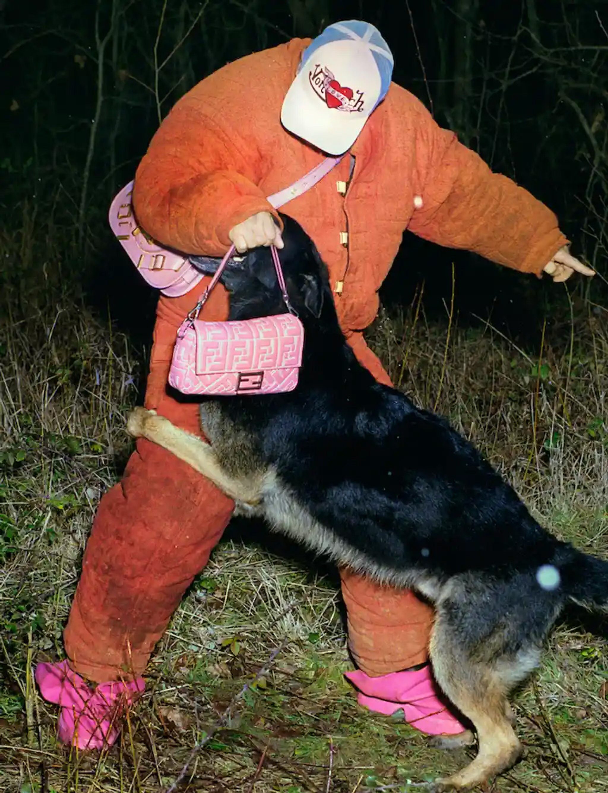 The Face Dog Trainer