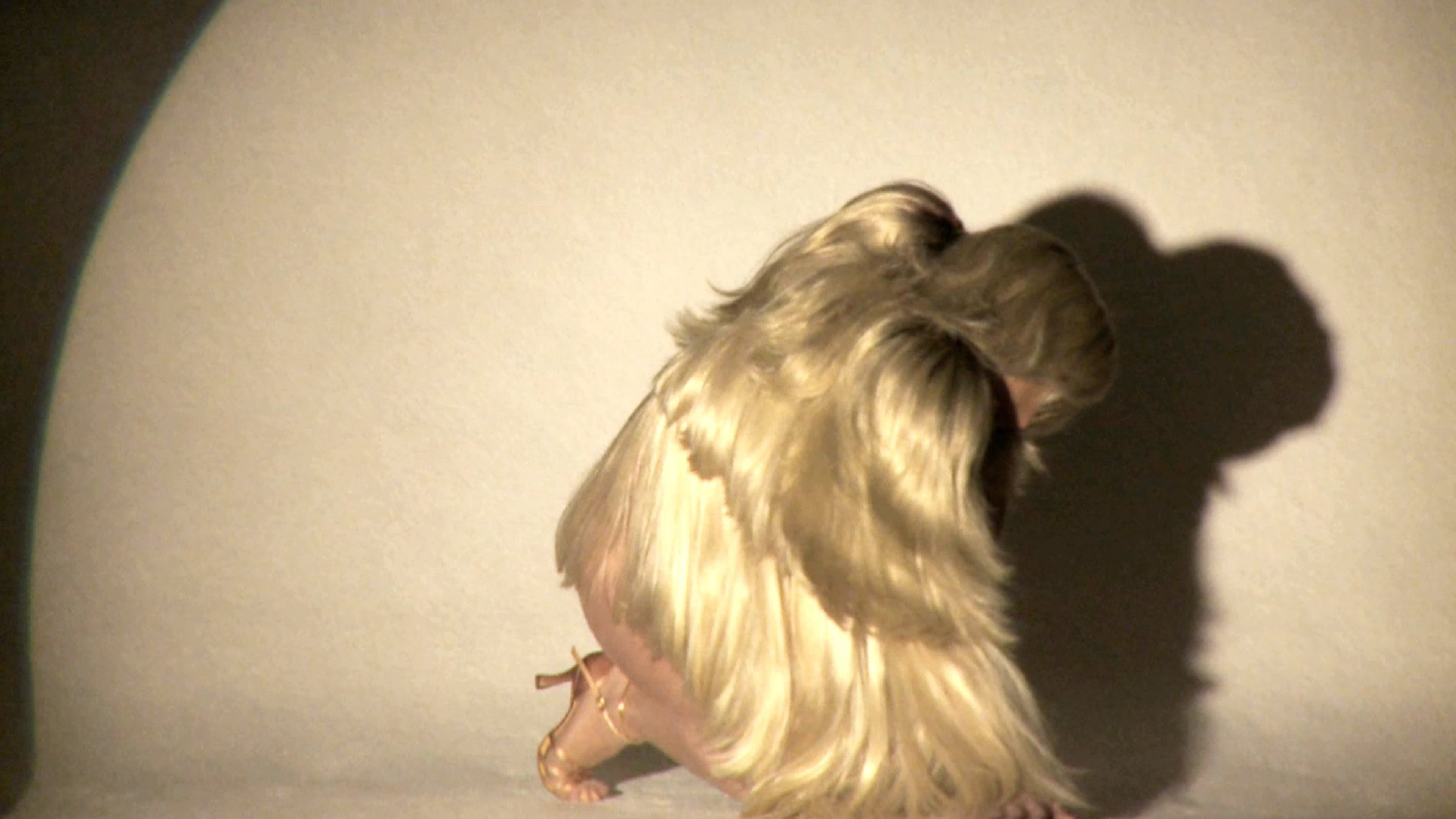 FW08:09 (Wigs and Hairpieces Jacket) (002)