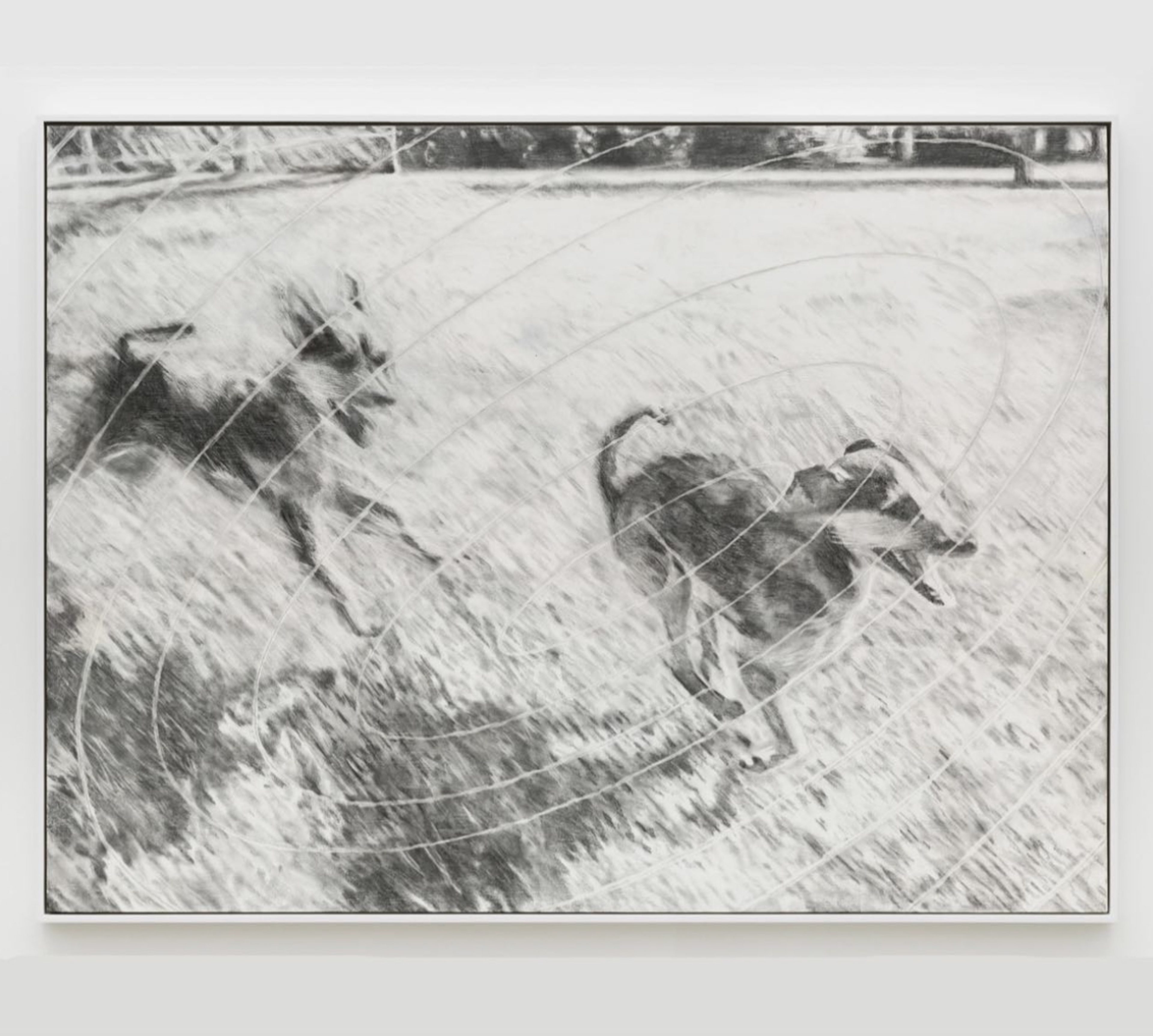 Runner