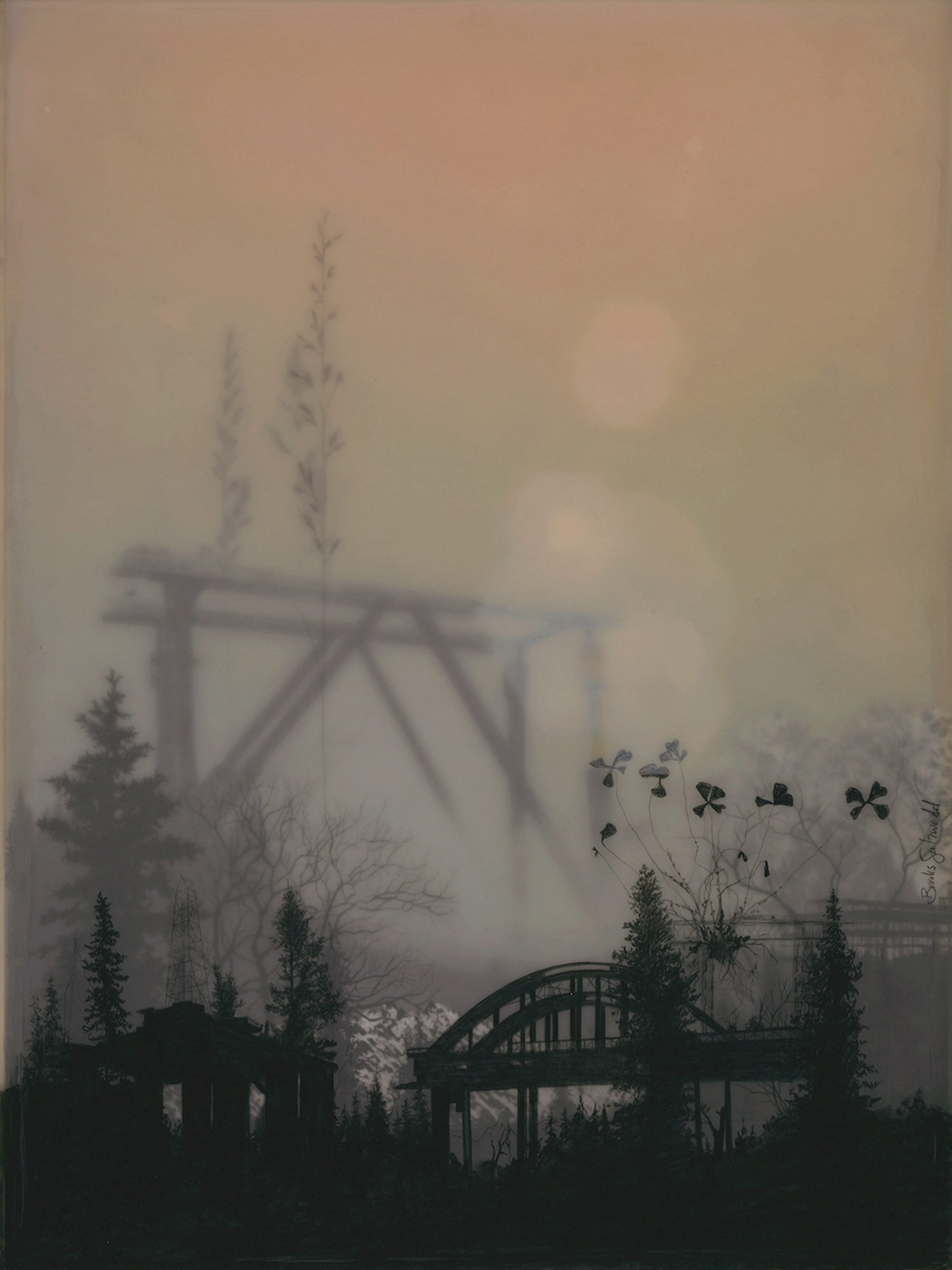 Bridges Weeds