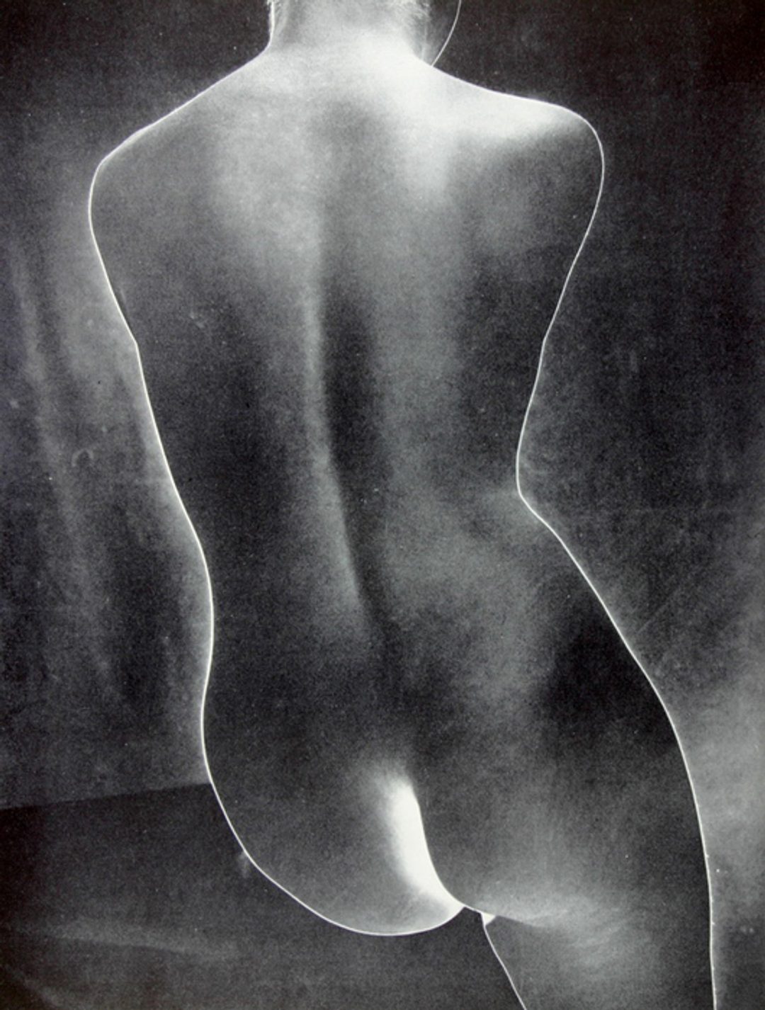 Torso (solarized)