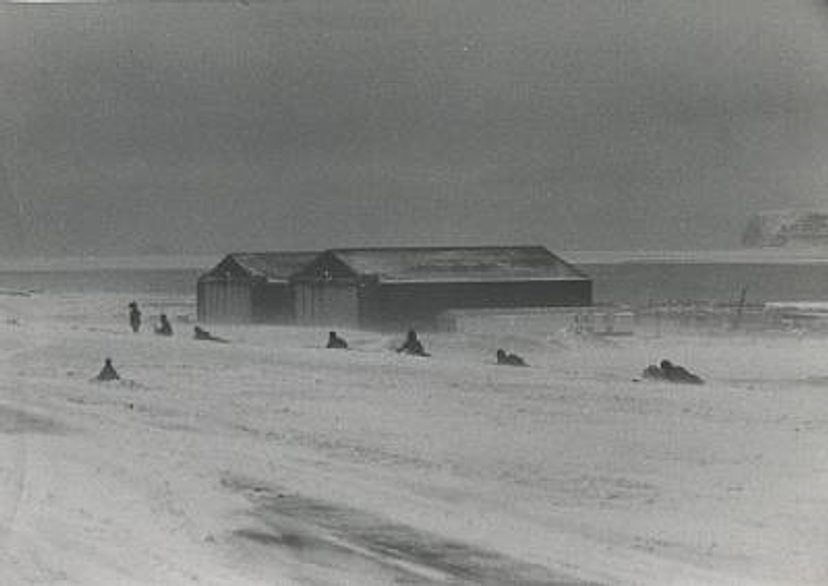 Thule Air Base, Greenland (8 works)