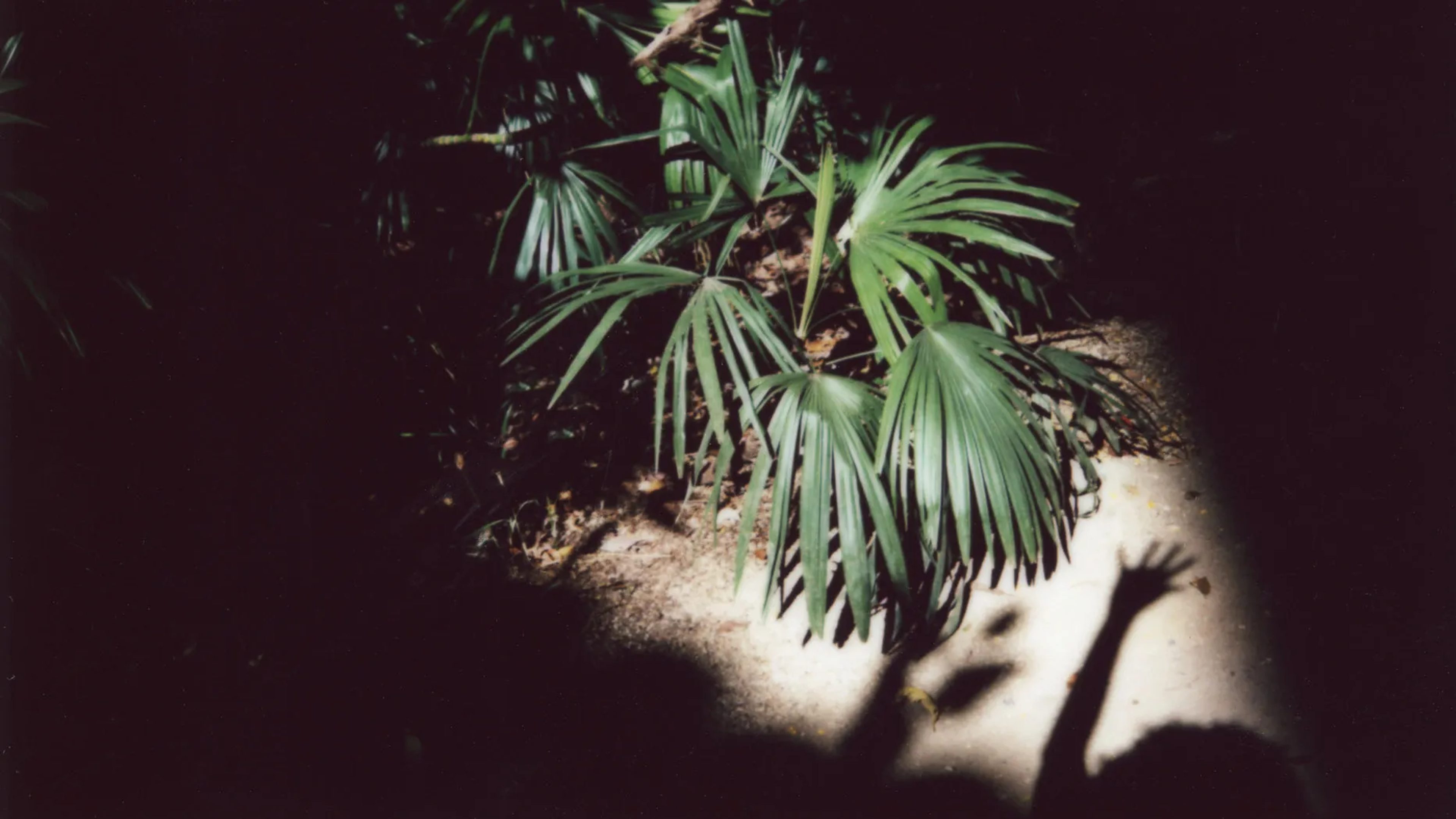 Widline Cadet image 23