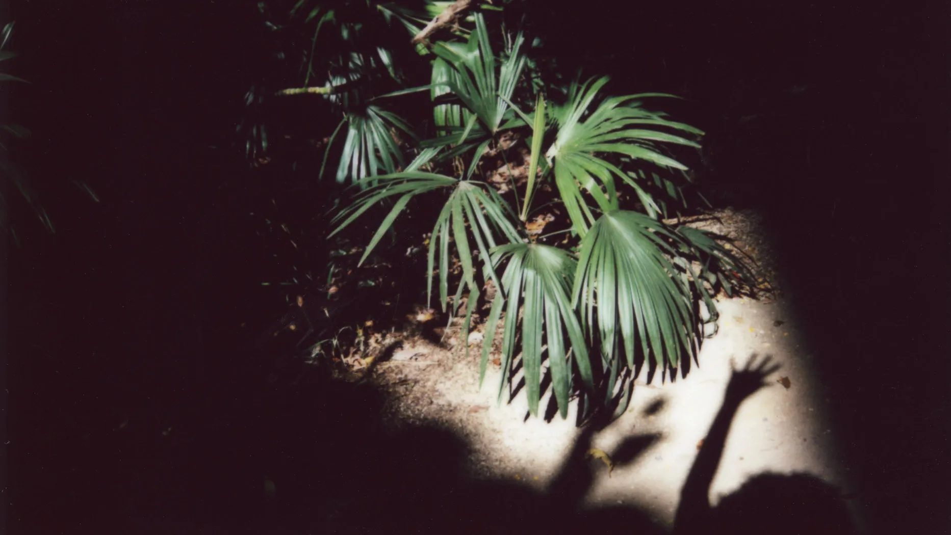 Widline Cadet image 23