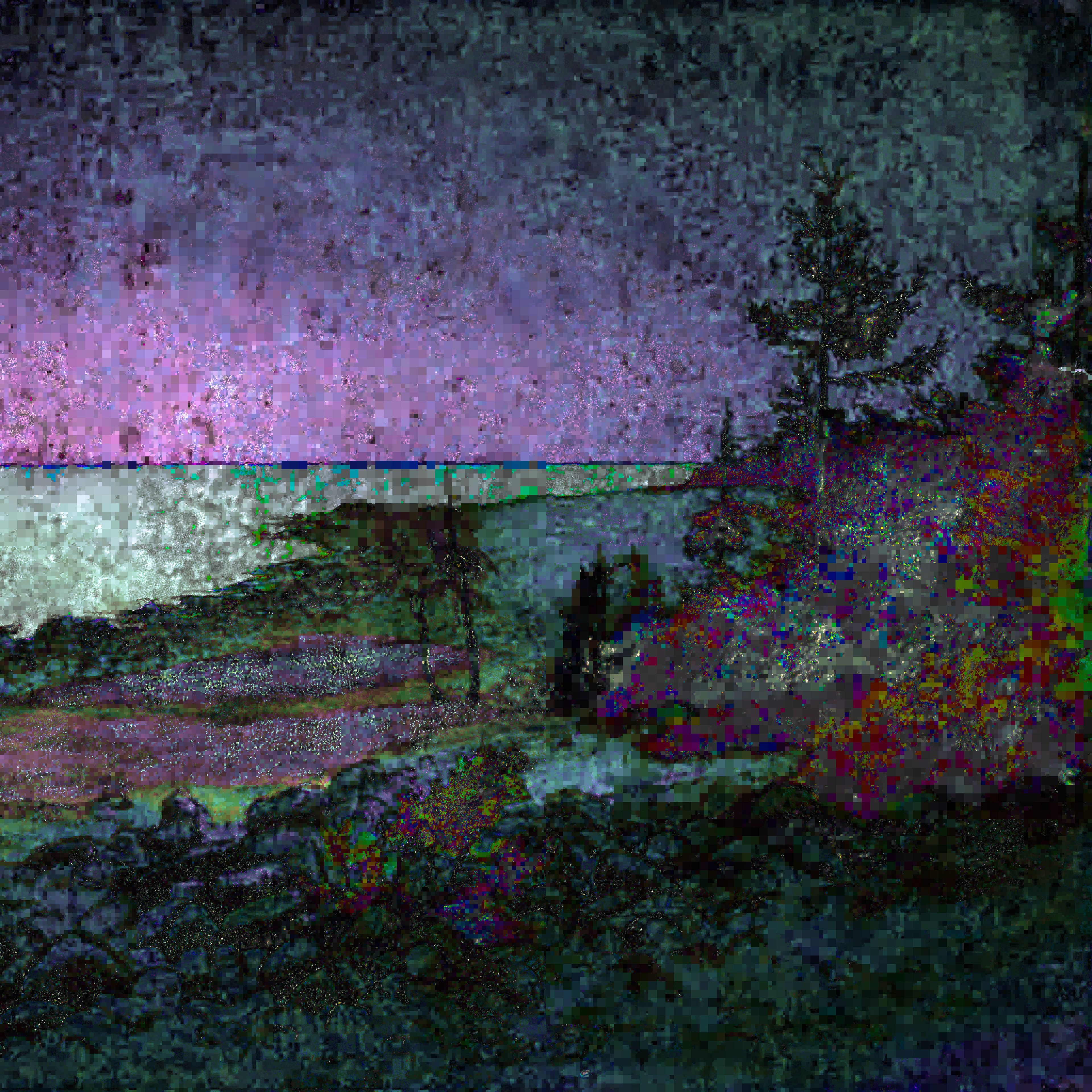 Swallow, Only Shadow (Landscape)