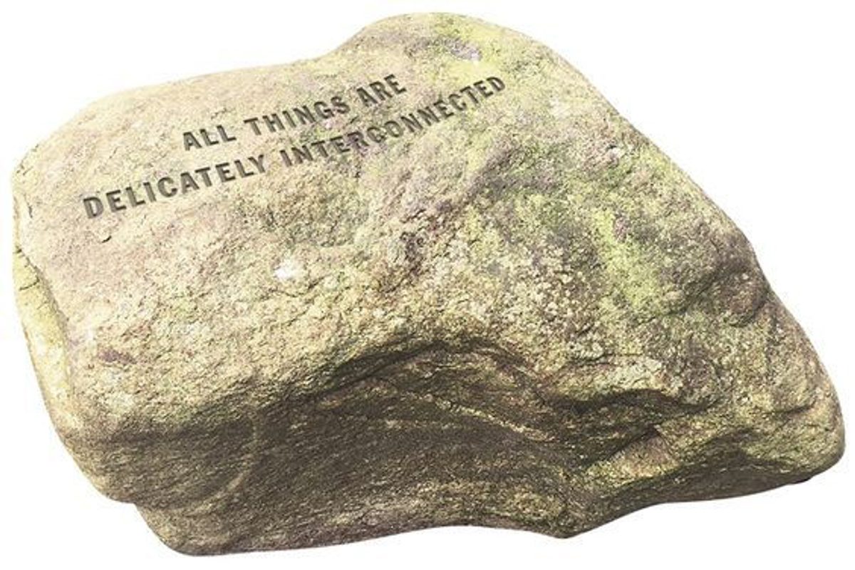 All Things Are Delicately Interconnected