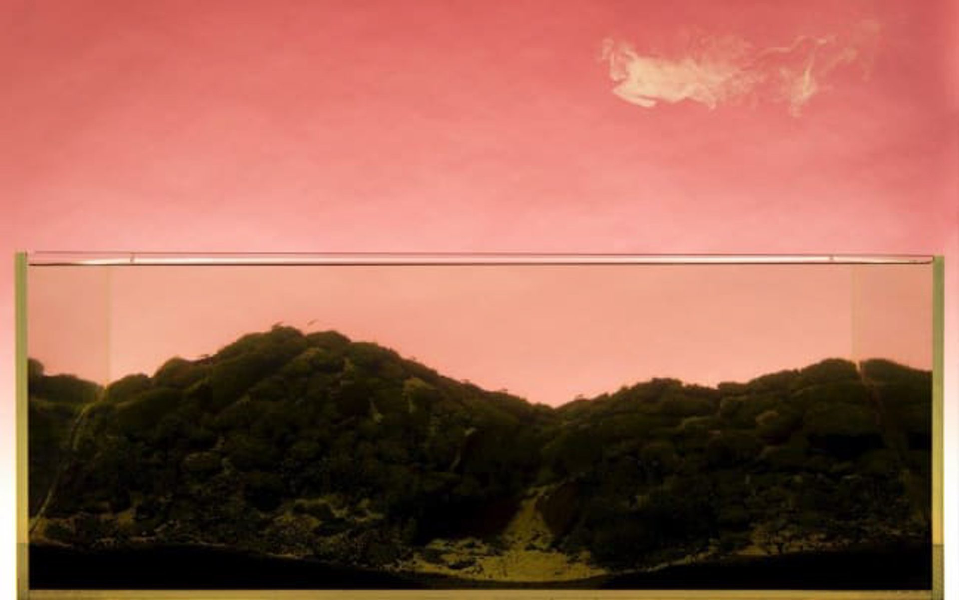 Double Nature 2