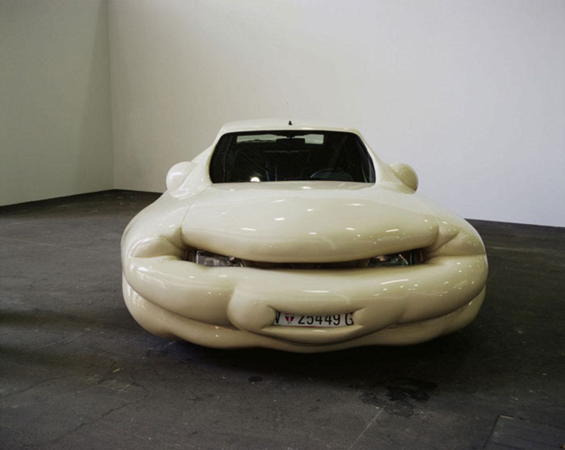 Fat Car