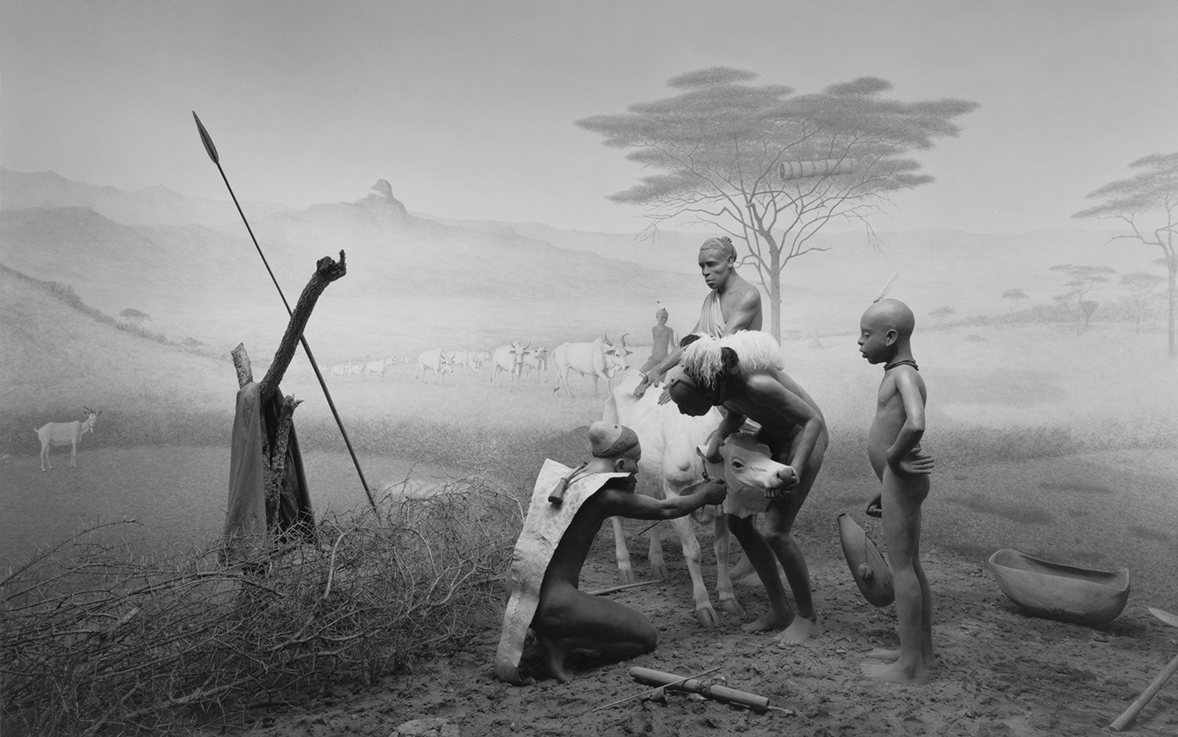 Pokot