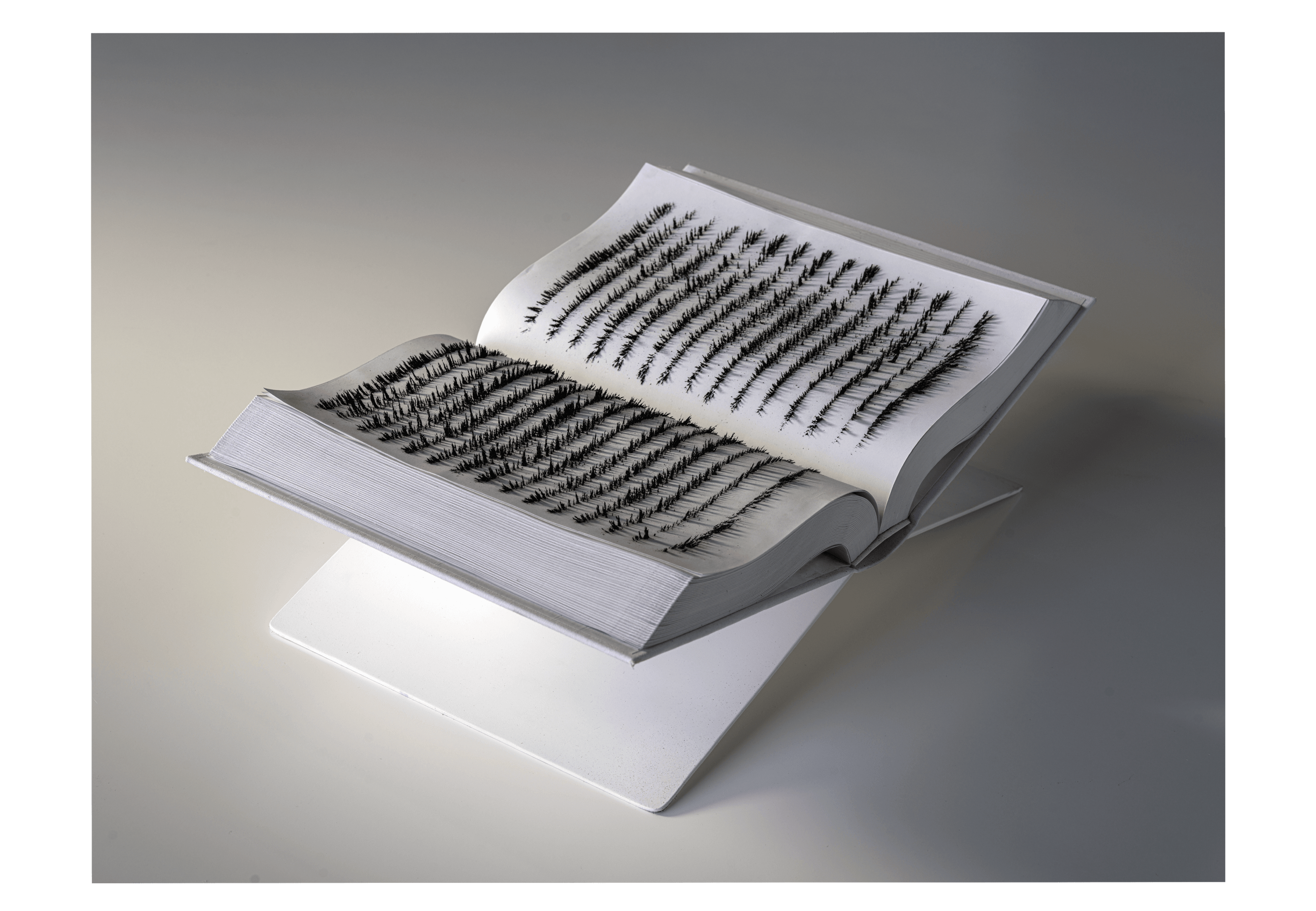 Magnetism Book