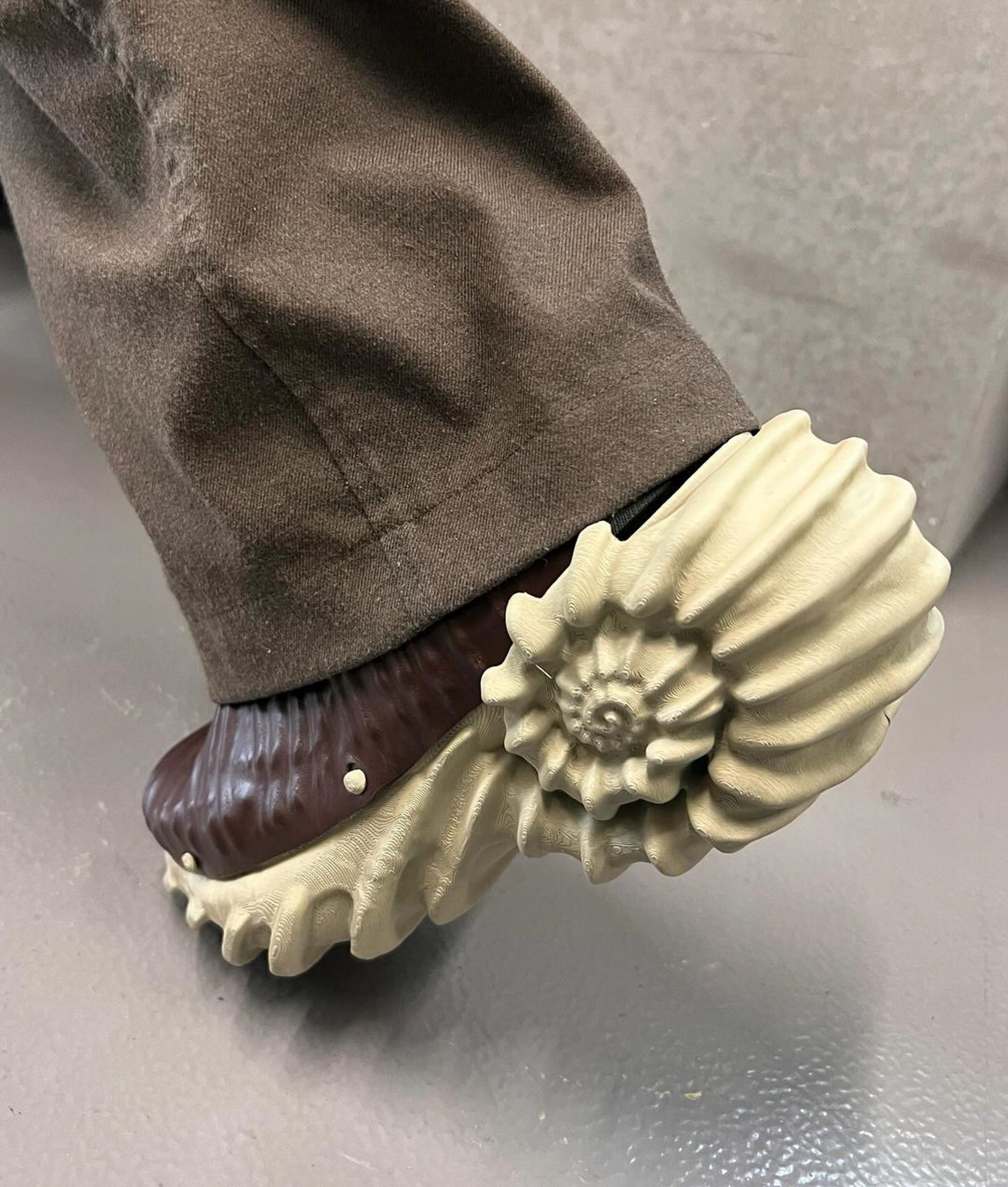 Ammonite Footwear