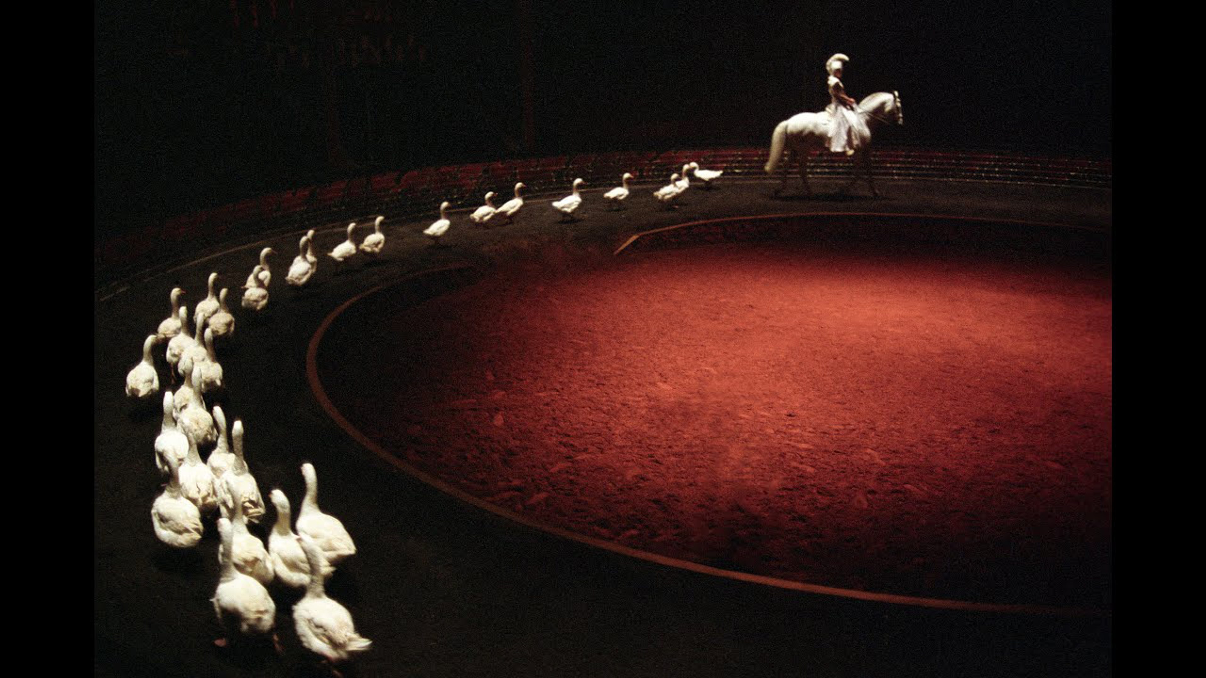 Loungta, Les Chevaux du Vent
