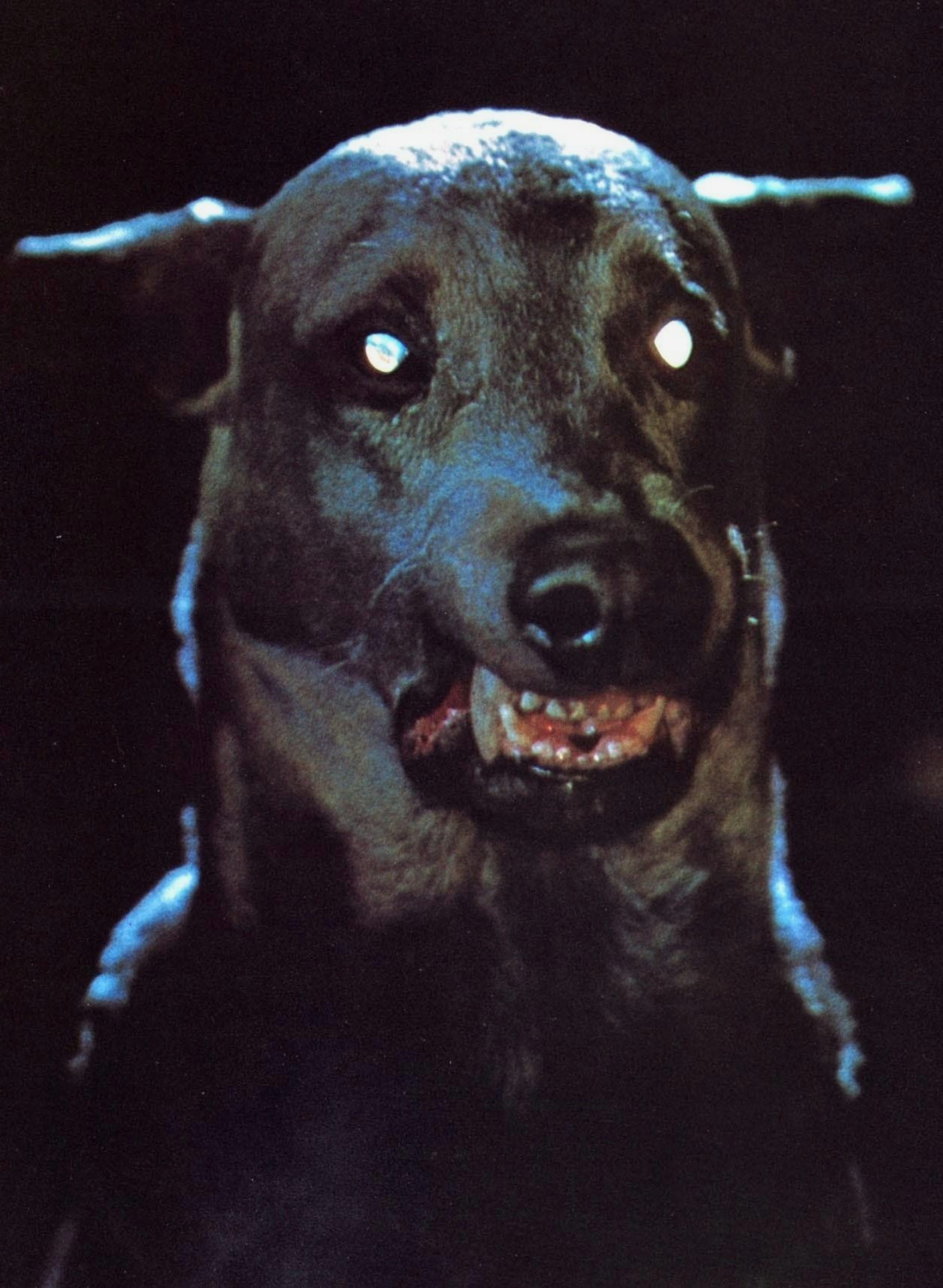 Zoltan Hound of Dracula (Still)