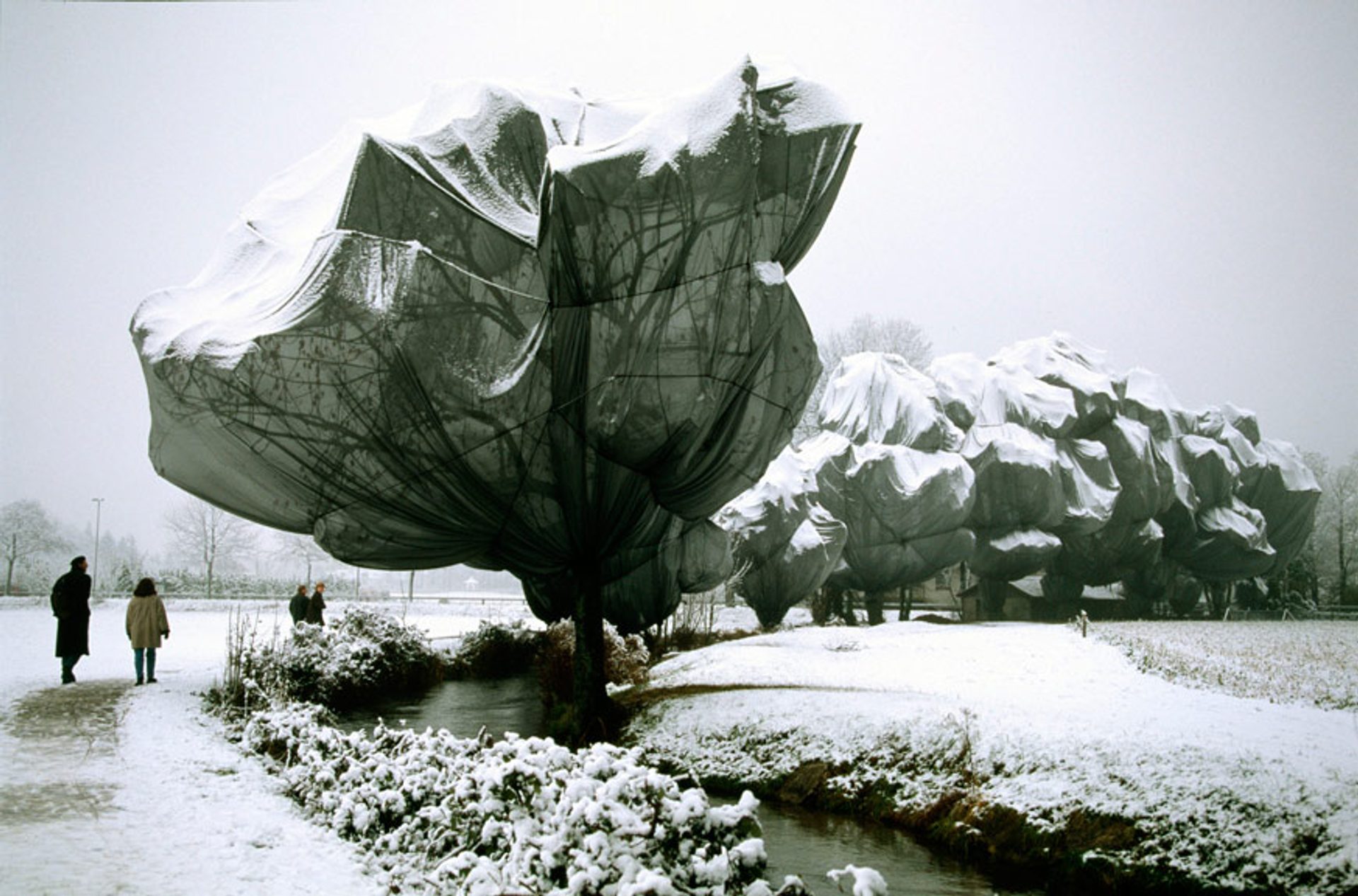 Wrapped Trees, Fondation Beyeler (Bale)