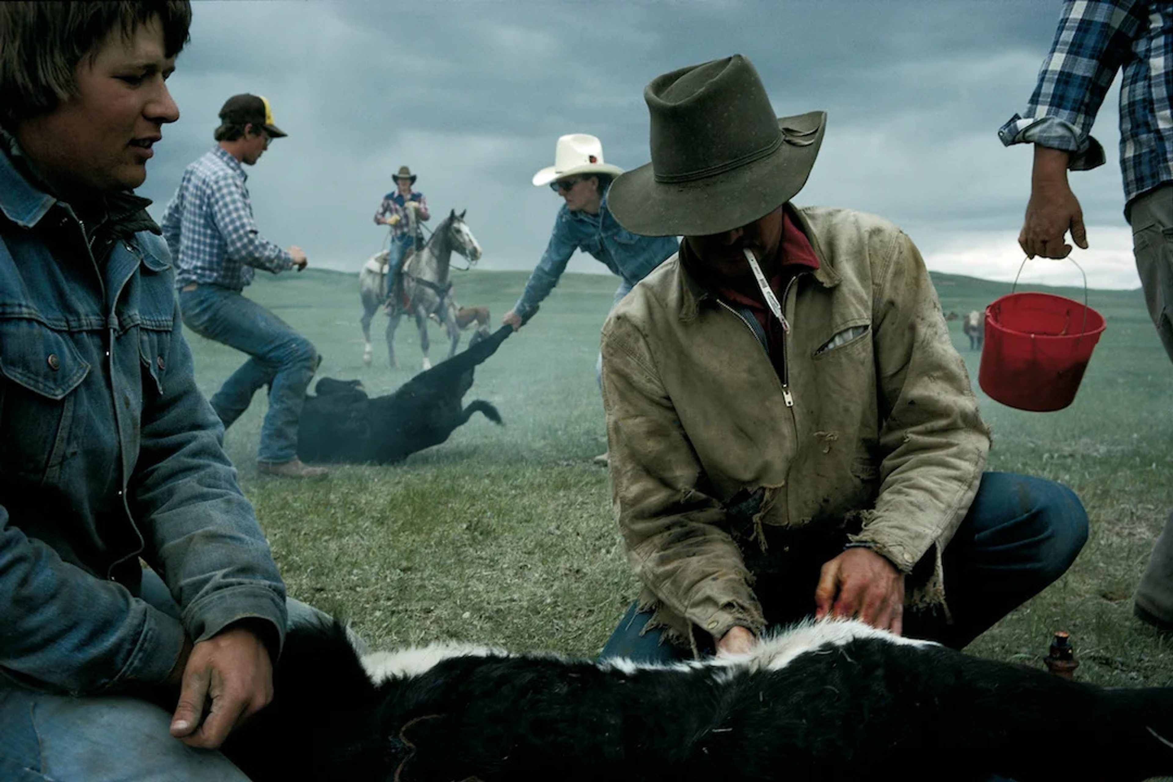 Buffalo, Montana