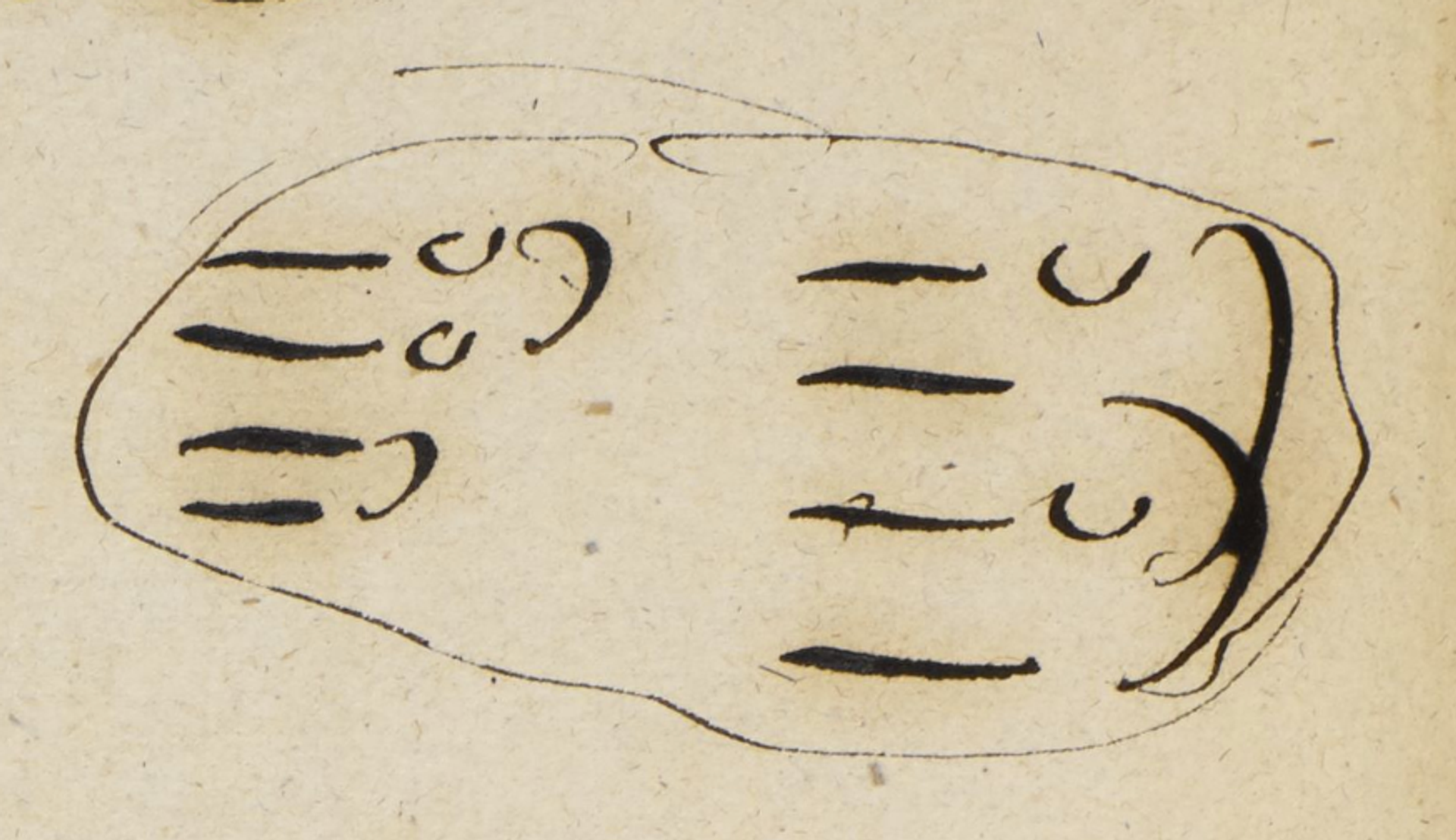 A Closer Look at Richard Wagner's Manuscipts