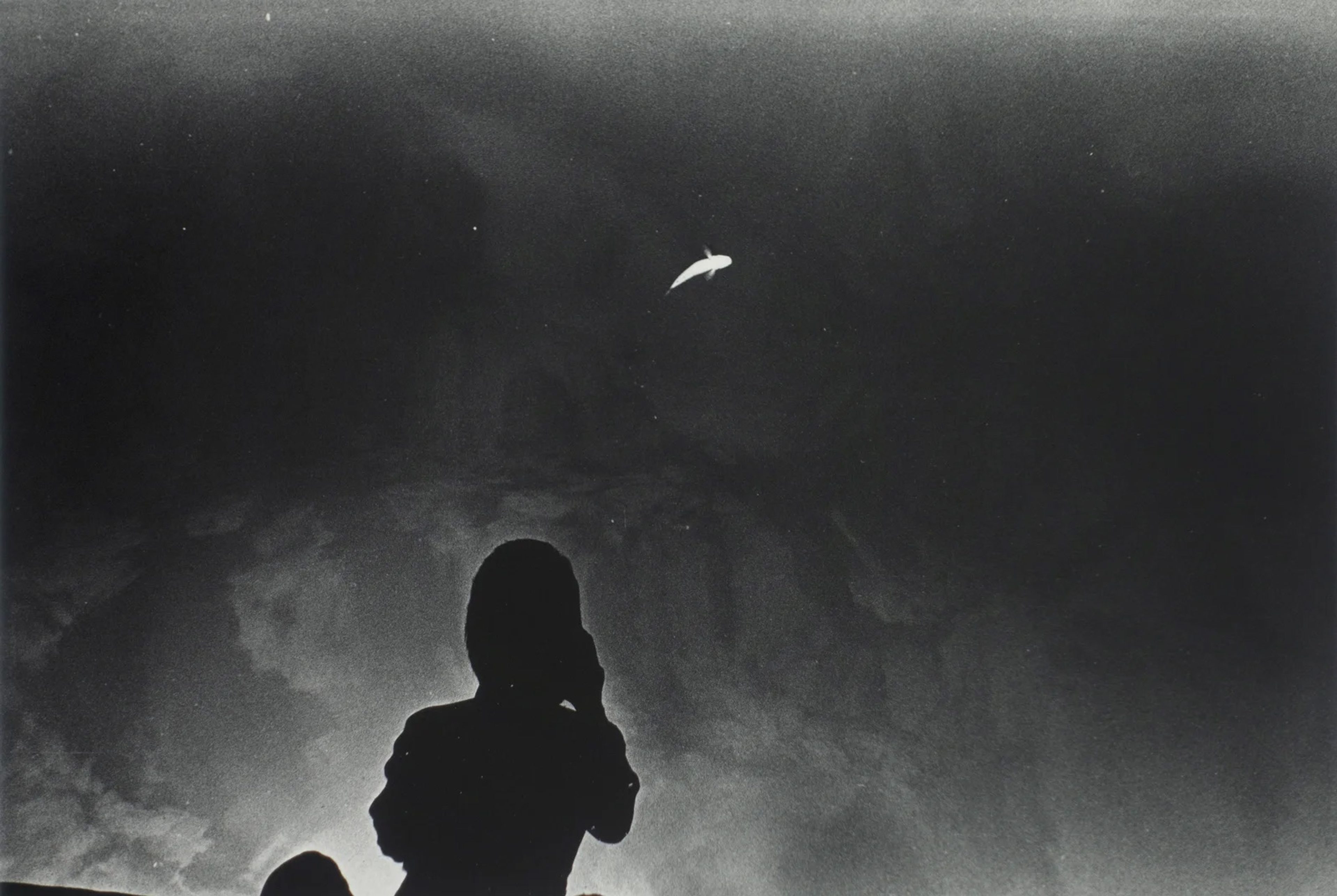 Los Caprichos, Demon of Tomorrow (Floating Fish and a Photographer)