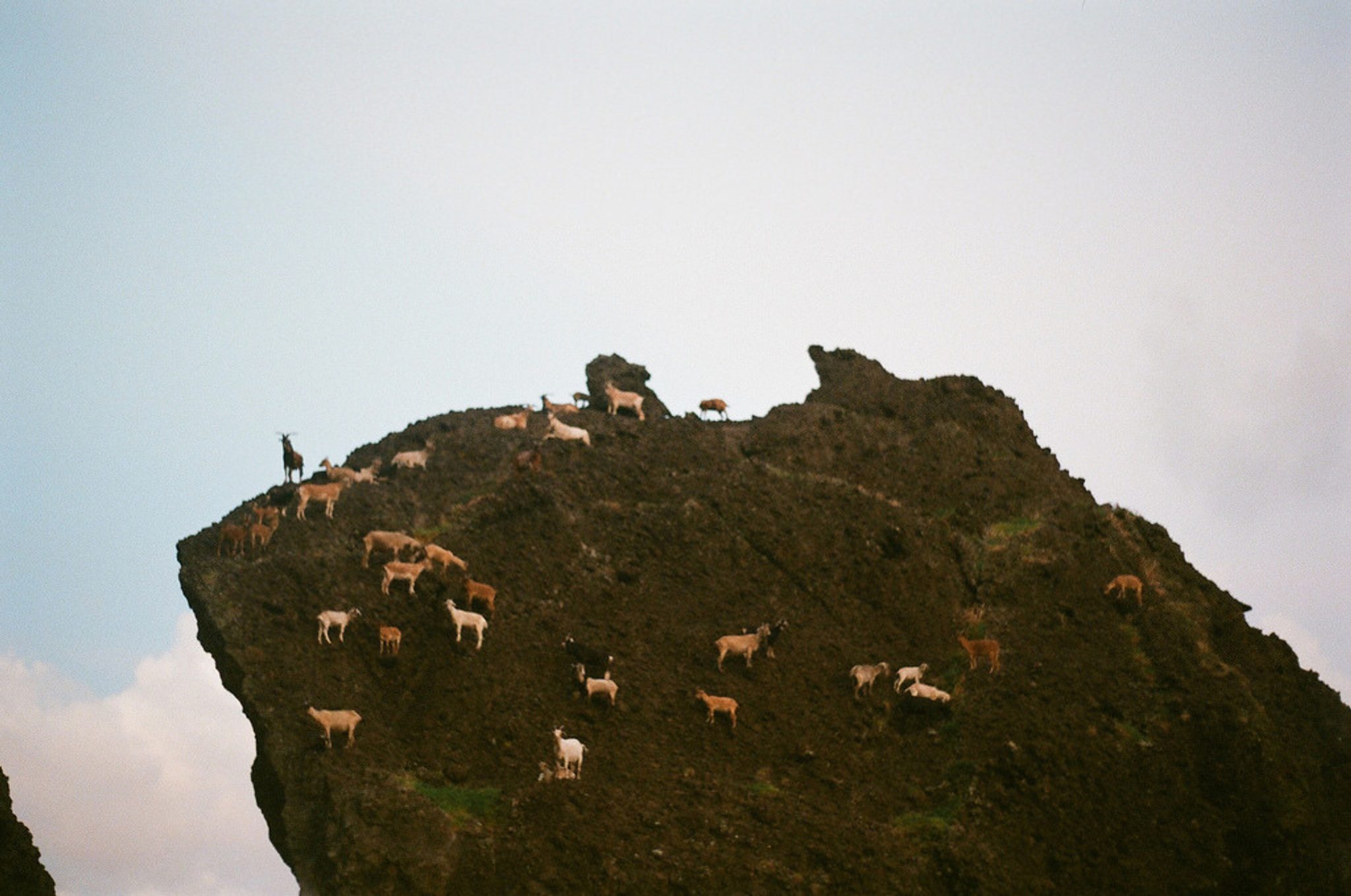 Lanyu