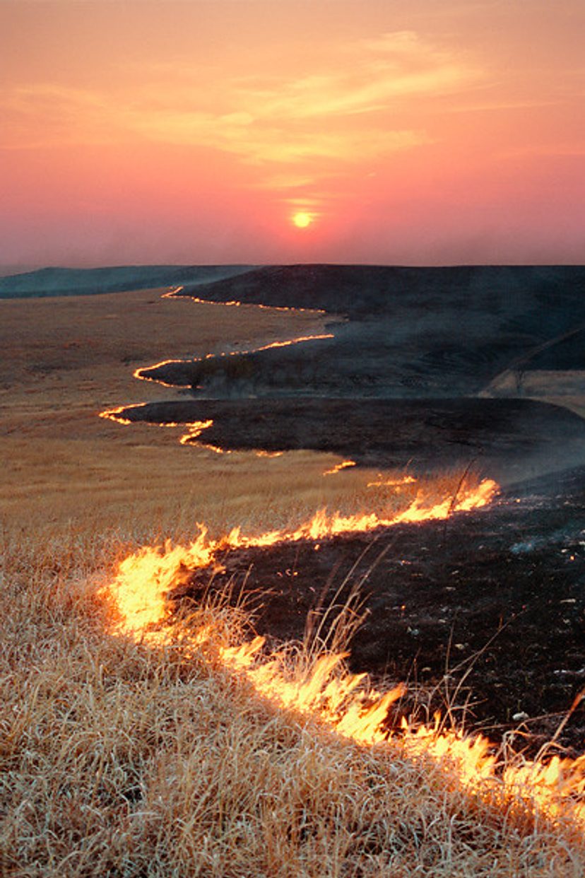 Spring range burn