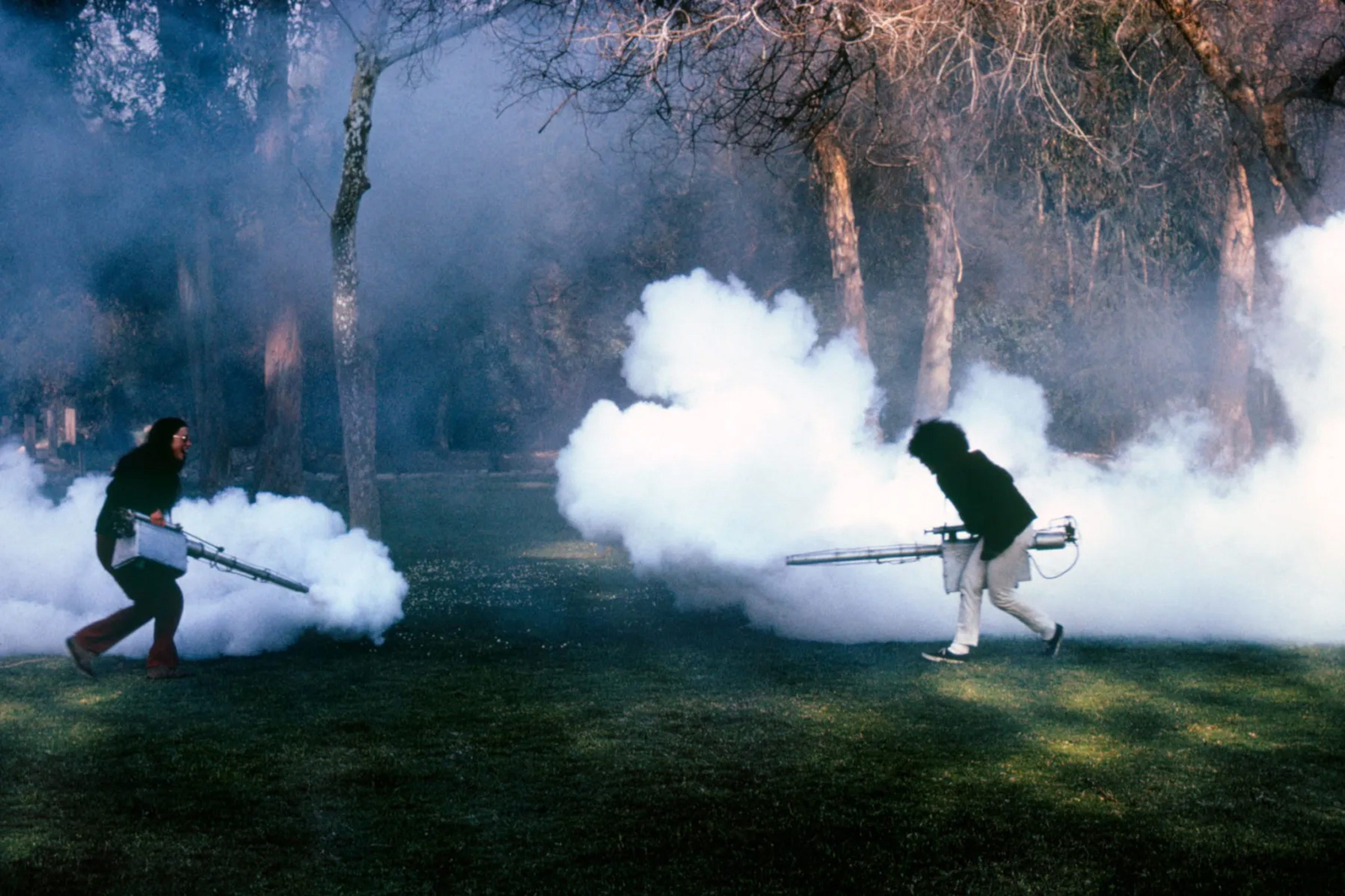 Smoke Gun Atmosphere