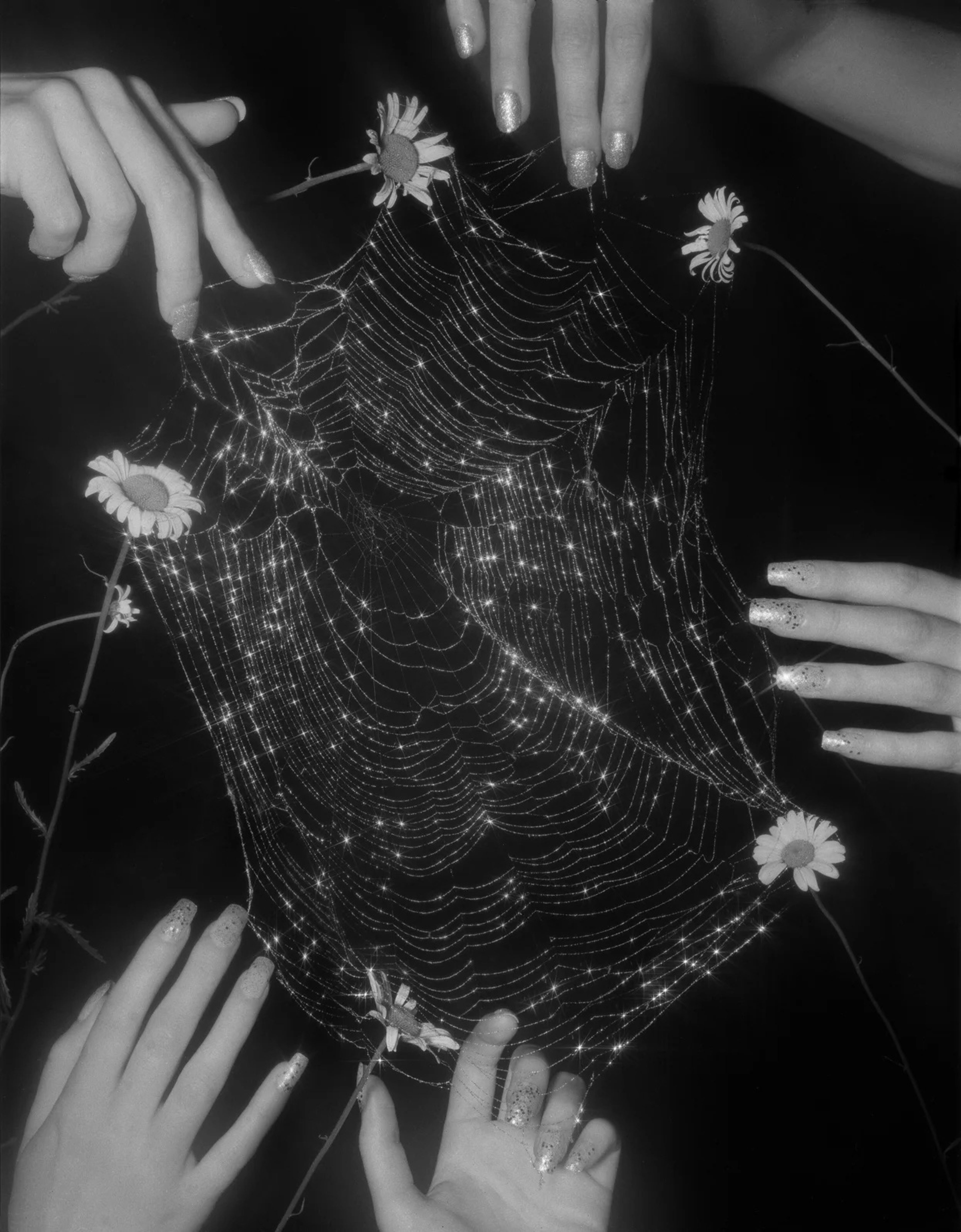We Make a Flower