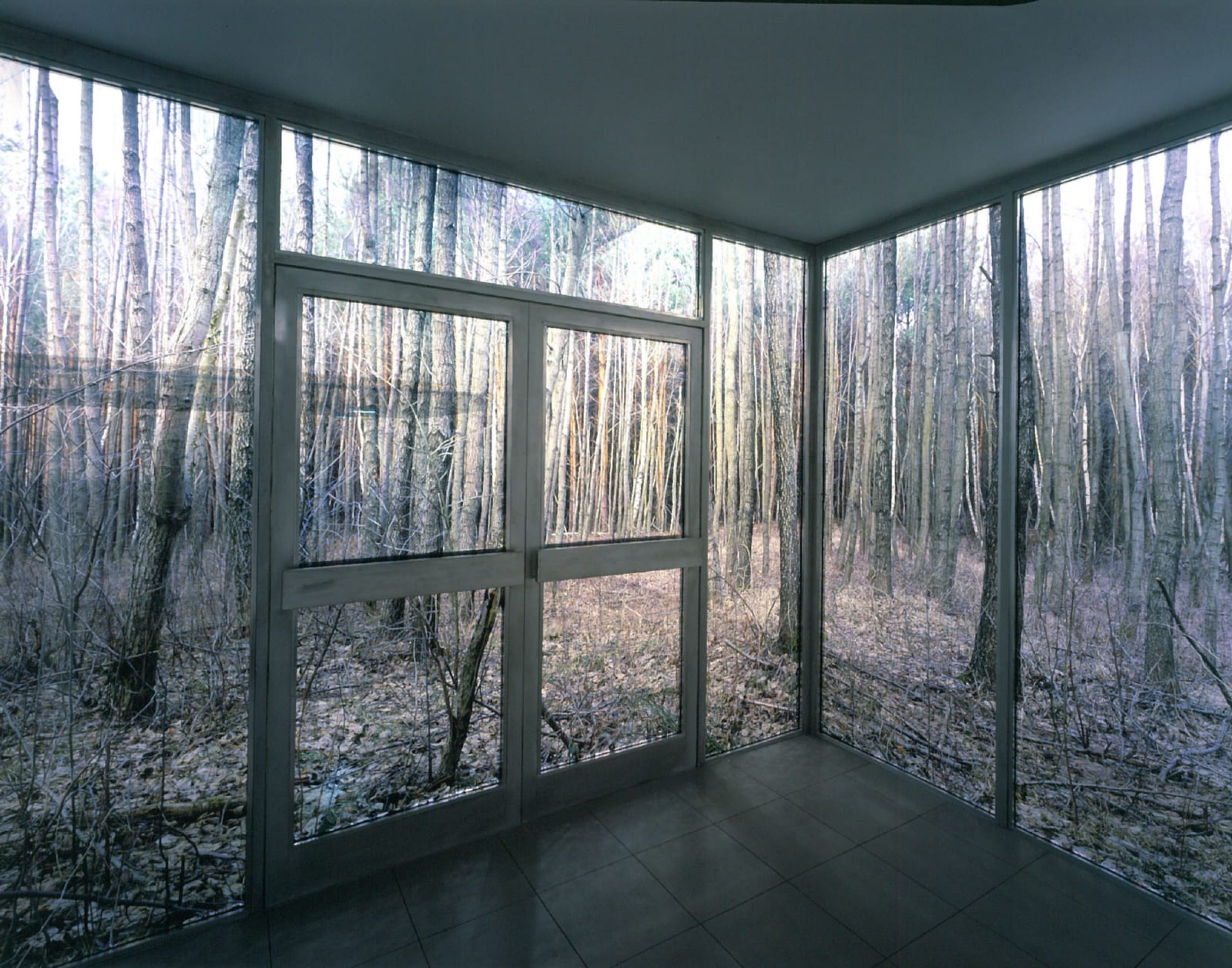 Large Cube in Forest
