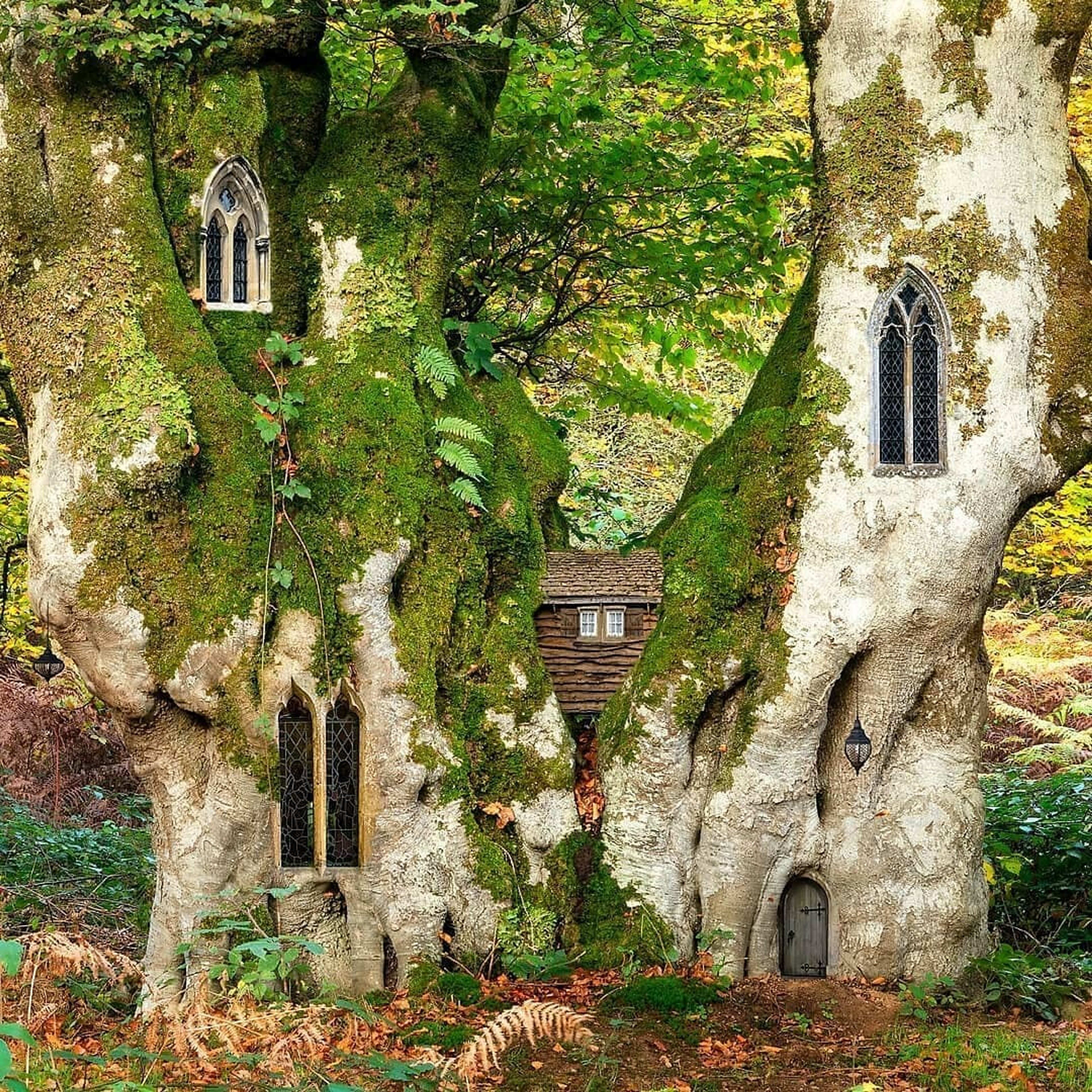 The Enchanted Abode
