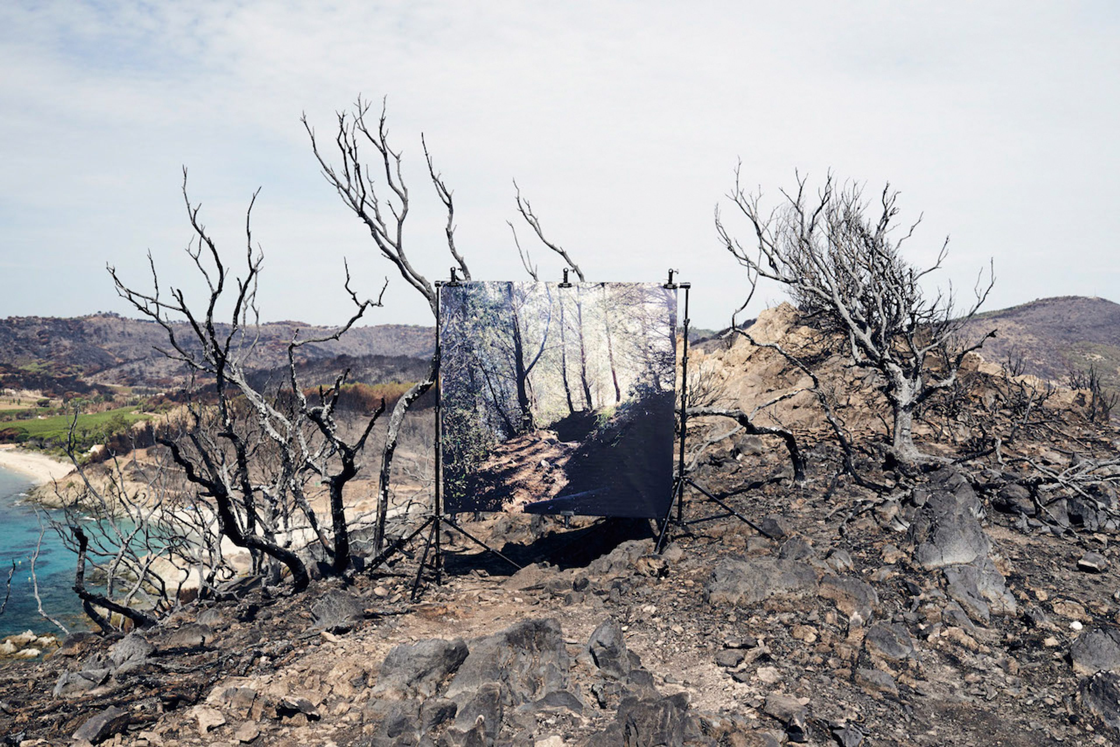 Incendies